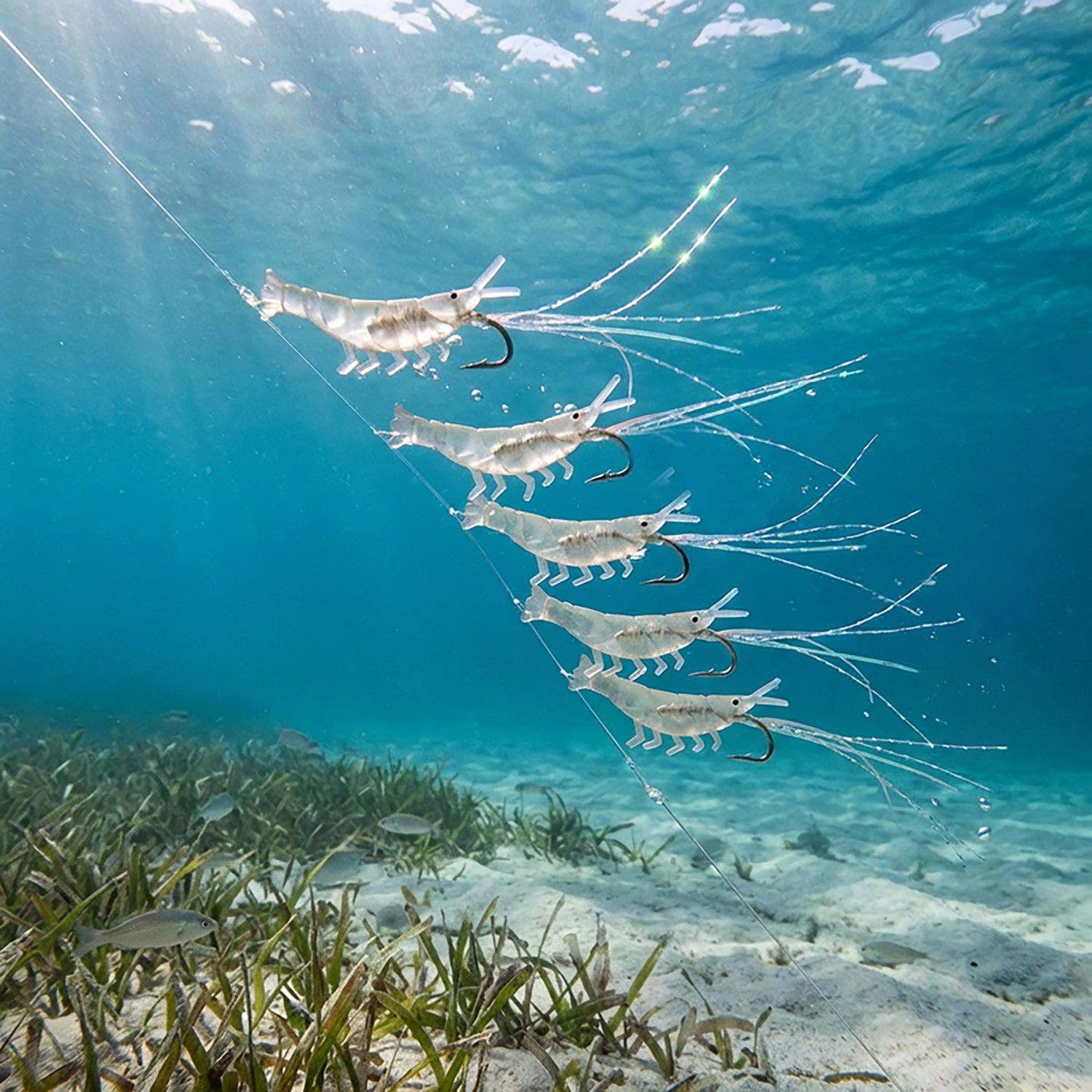 Tsunami Shrimp Rig 5-Pack - view number 2