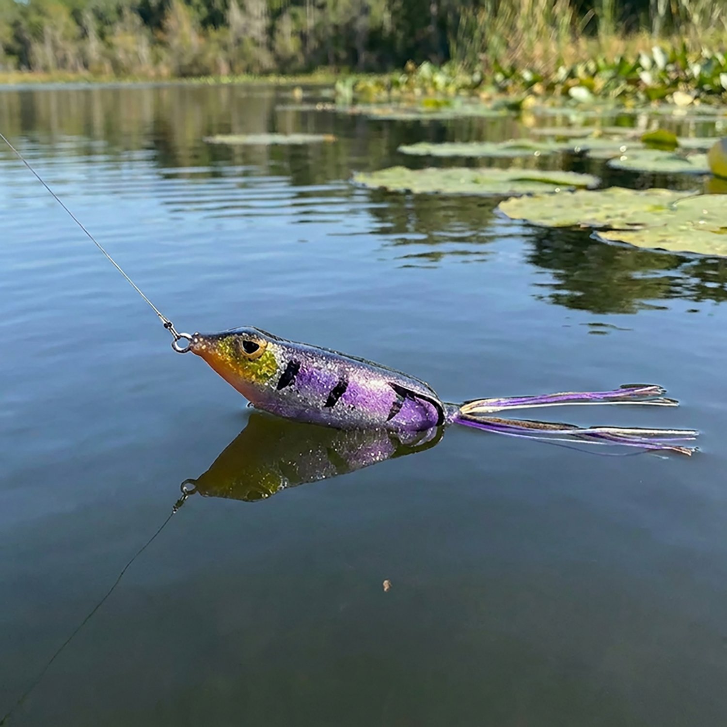 Gambler Lures 2-1/2 in Walking Frog - view number 2