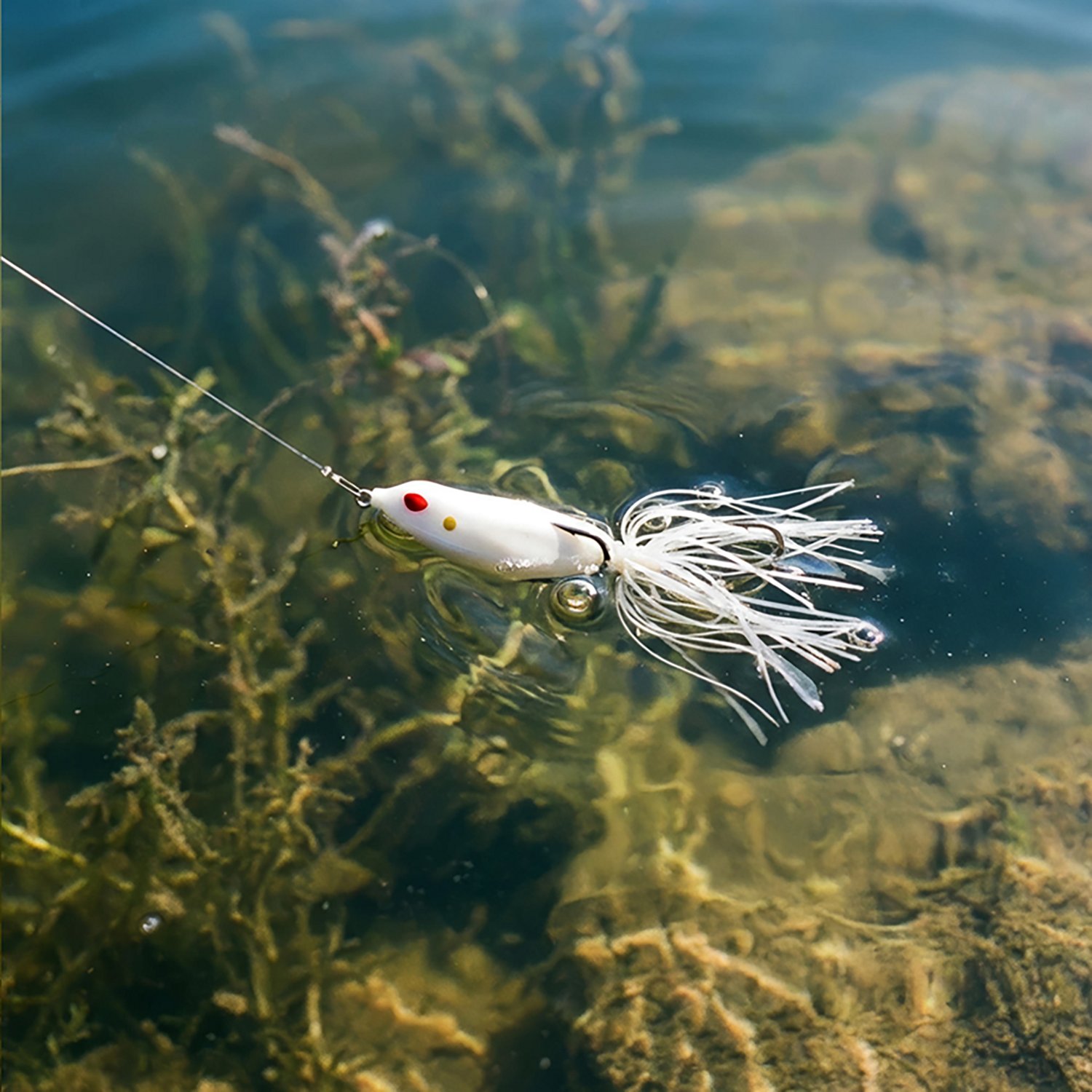 Gambler Lures 2-1/2 in Walking Frog - view number 2