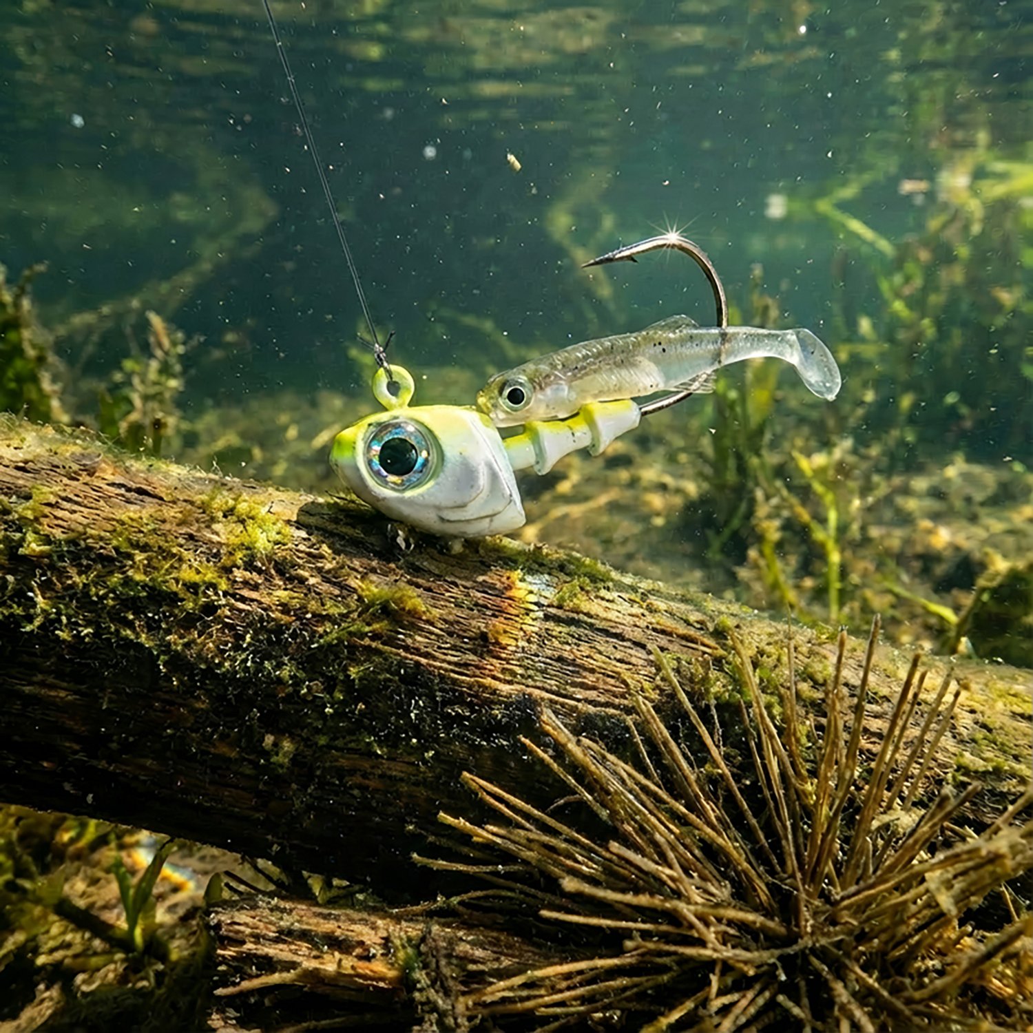 6th Sense Lures Crappie 1/16 oz. Jighead 5-Pack - view number 2