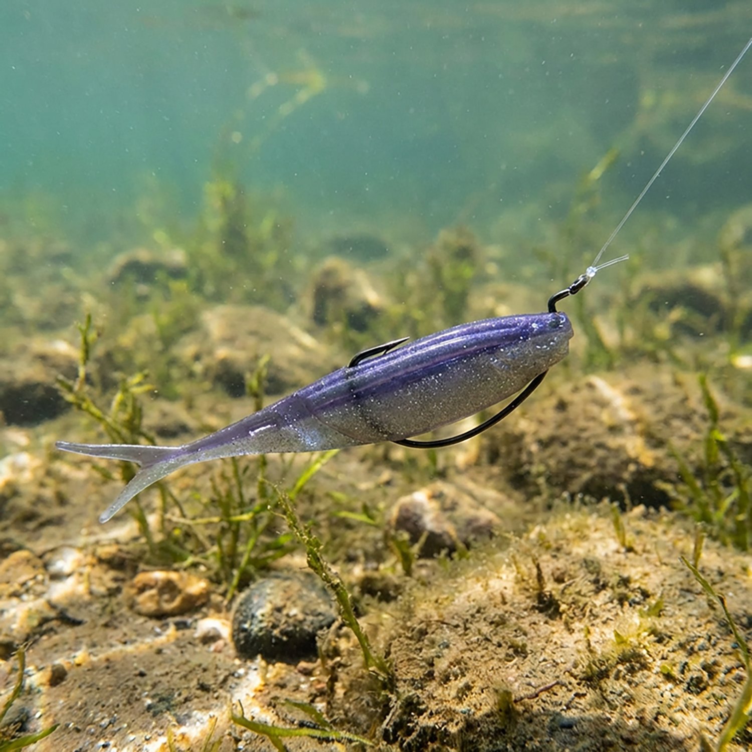 Yamamoto Hinge Minnow 5 in Baits 6-Pack - view number 2