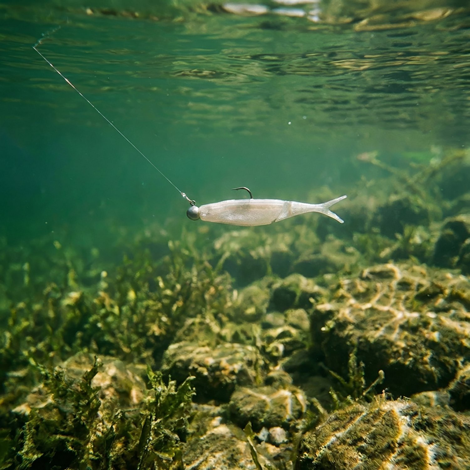 Yamamoto Hinge Minnow 5 in Baits 6-Pack - view number 2