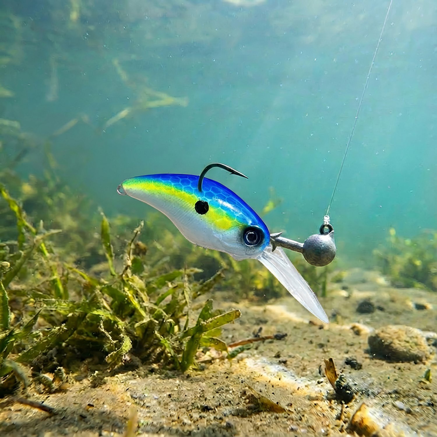 Buckeye Lures G-Stroll 3/16 oz Jig Heads 3-Pack - view number 2