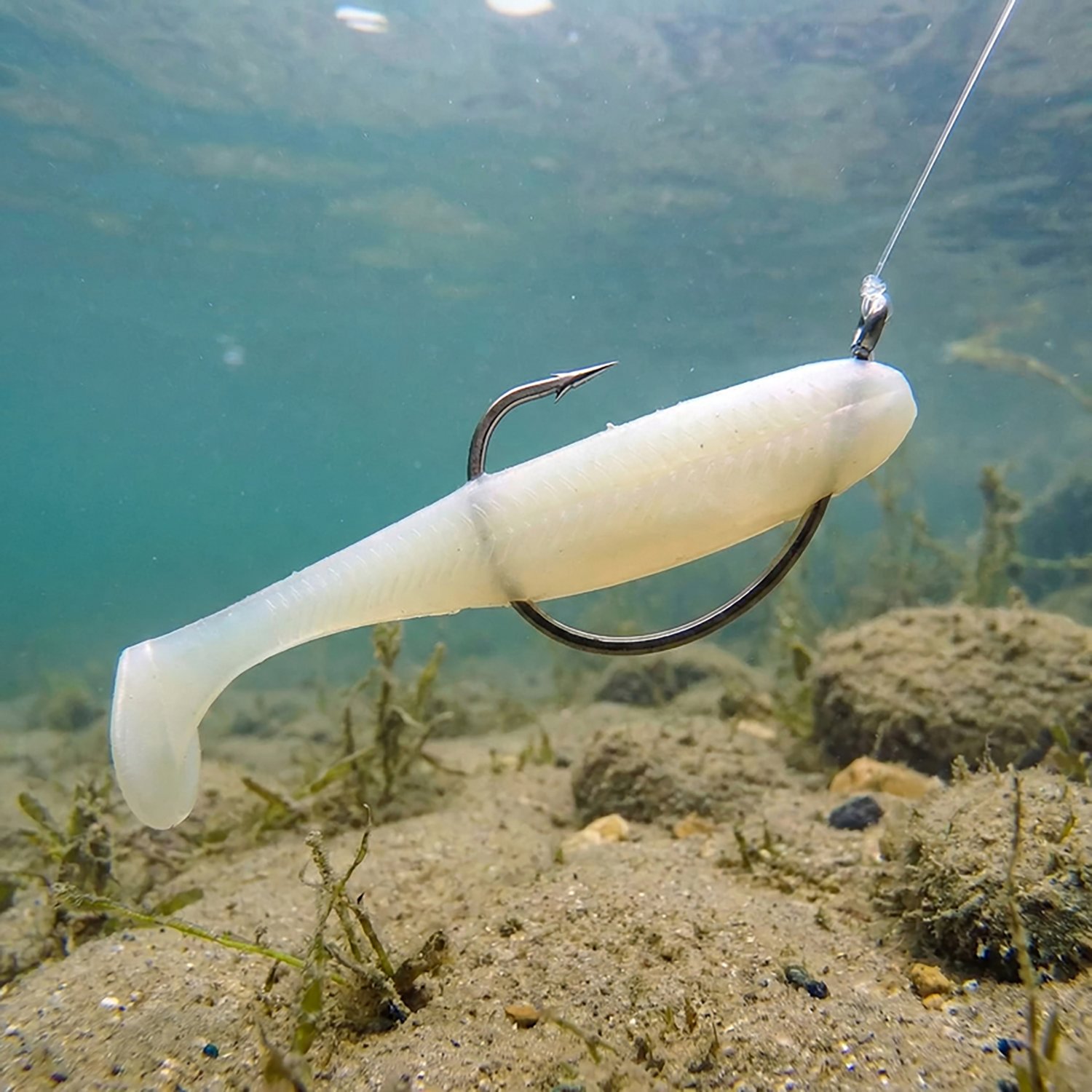 6th Sense Lures Saltwater Divine Swimbait 6-Pack - view number 2