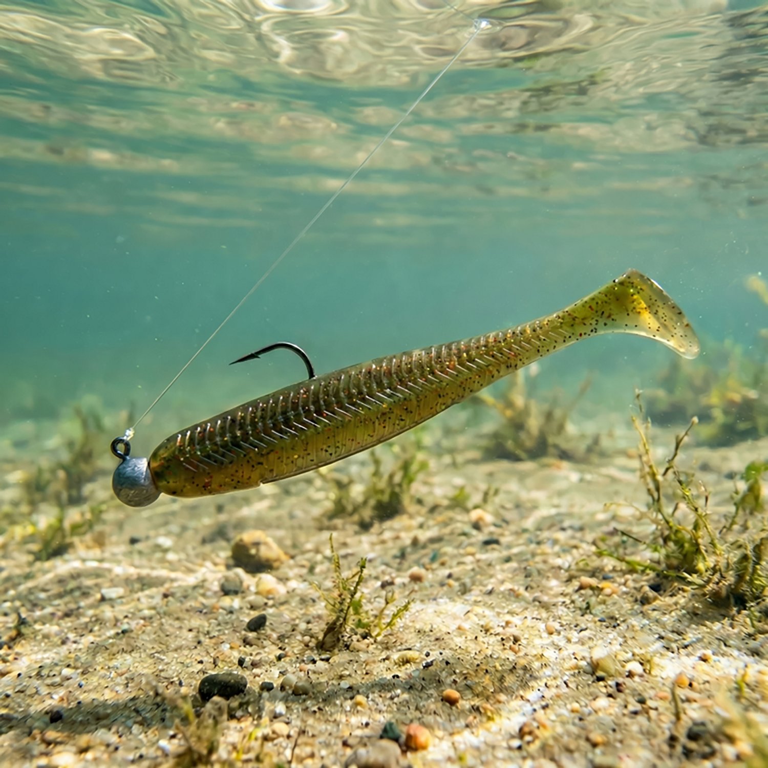 6th Sense Lures Saltwater Divine Swimbait 6-Pack - view number 2