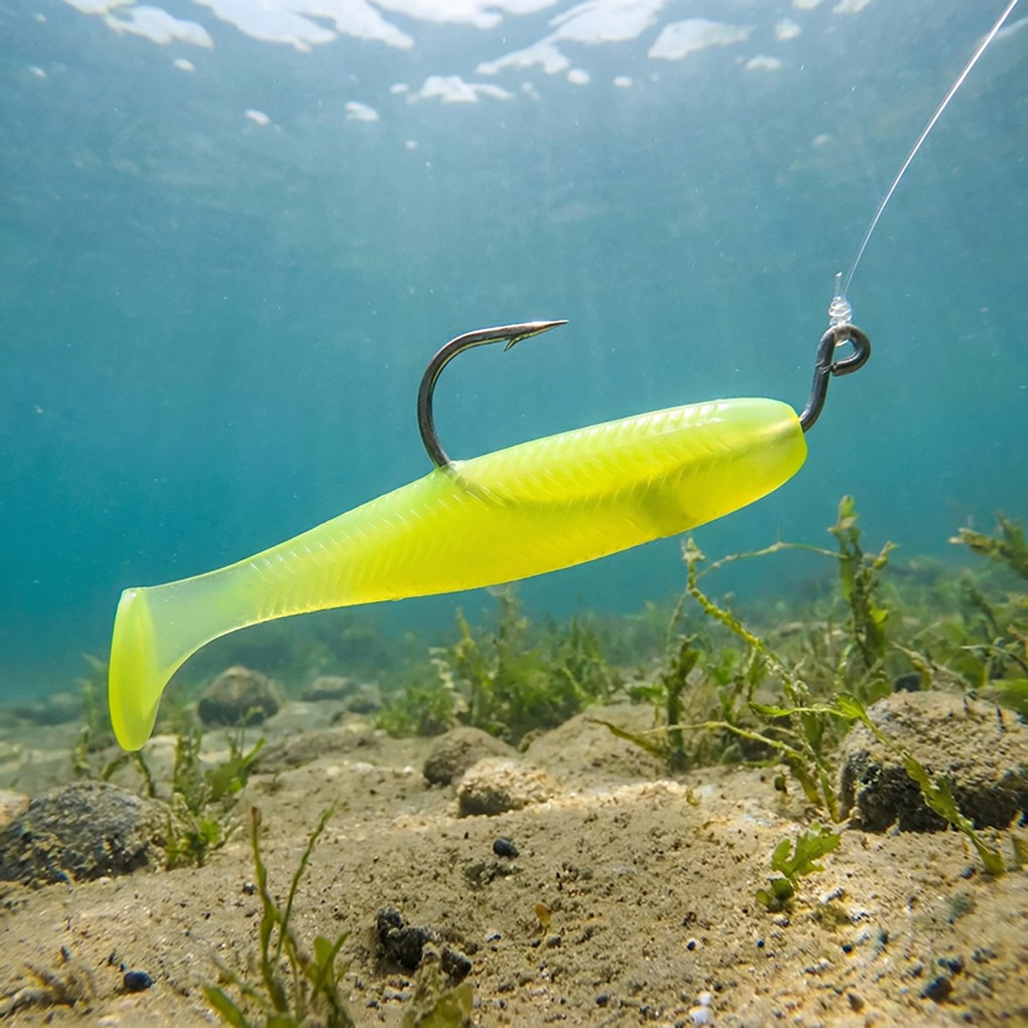 6th Sense Lures Saltwater Divine Swimbait 6-Pack - view number 2