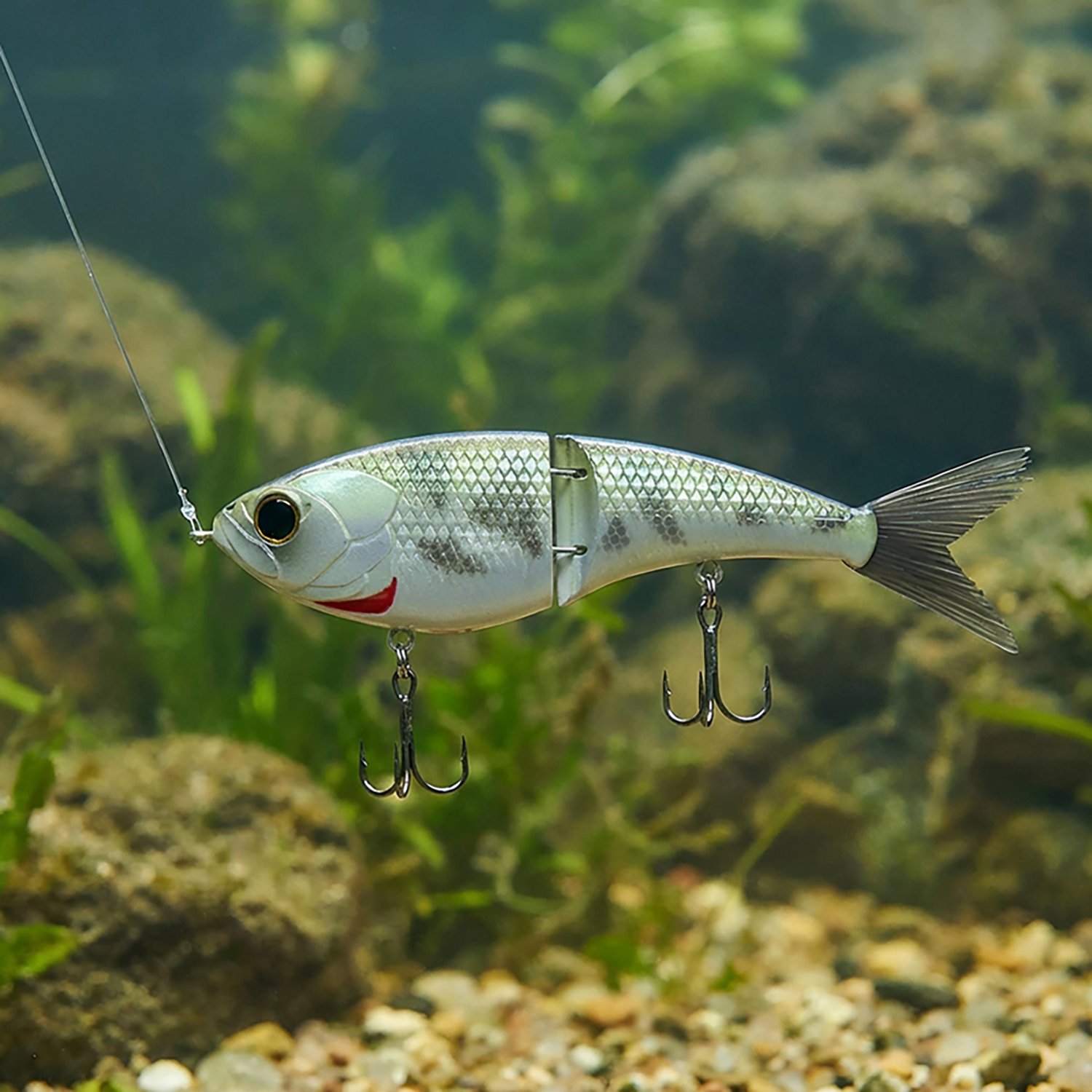 6th Sense Lures 1 oz. Saltwater Topwater Judo Swimbait - view number 2