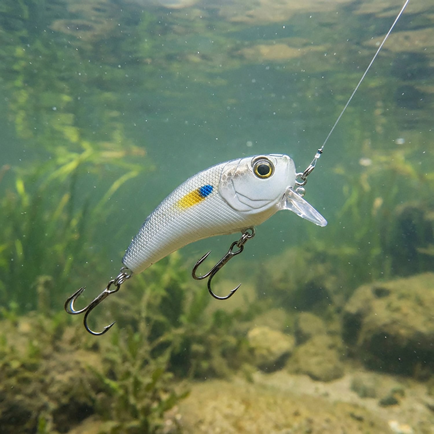 6th Sense Lures 1 oz. Saltwater Movement 60WK Swimbait - view number 2