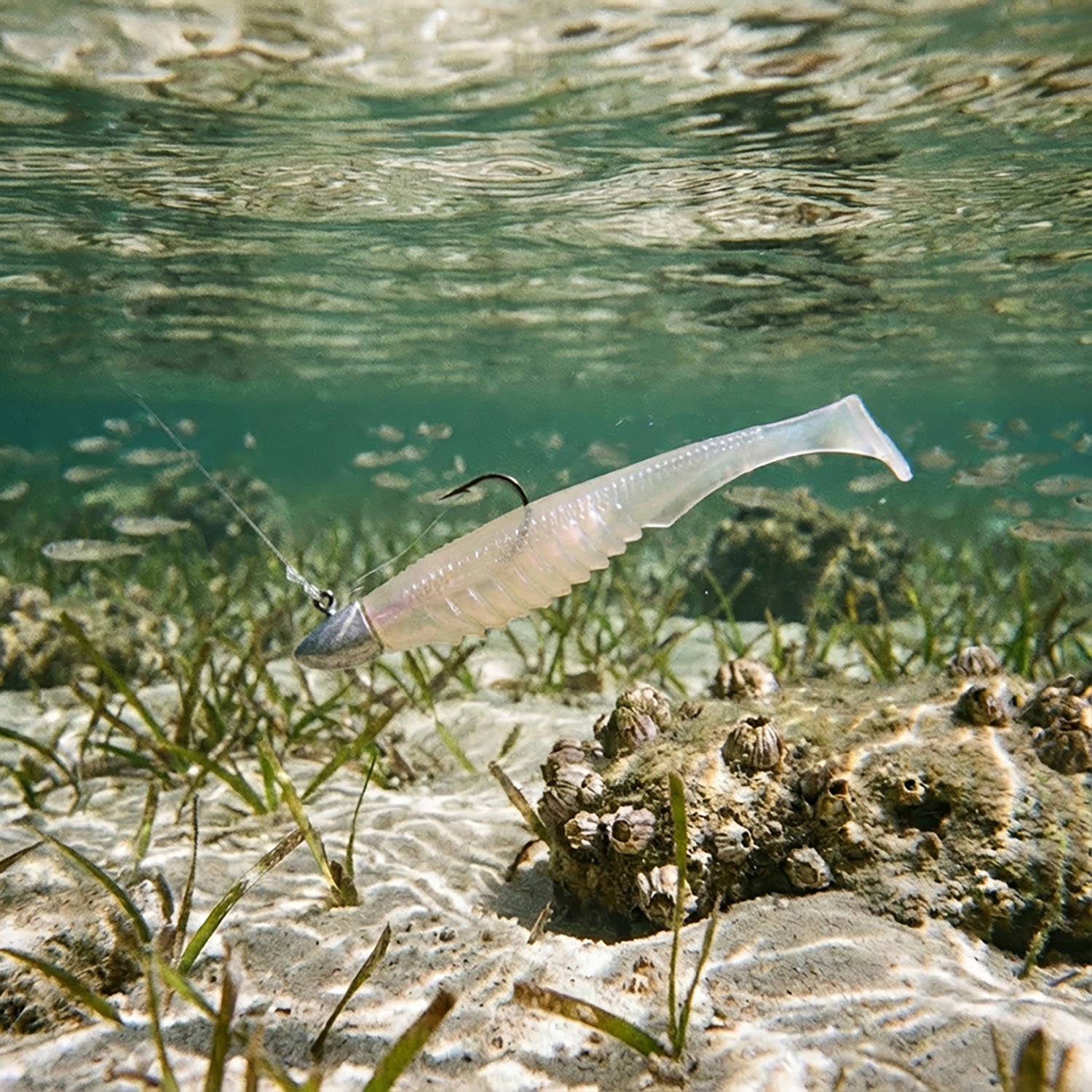 6th Sense Lures Saltwater Party Paddle 6-Pack - view number 2