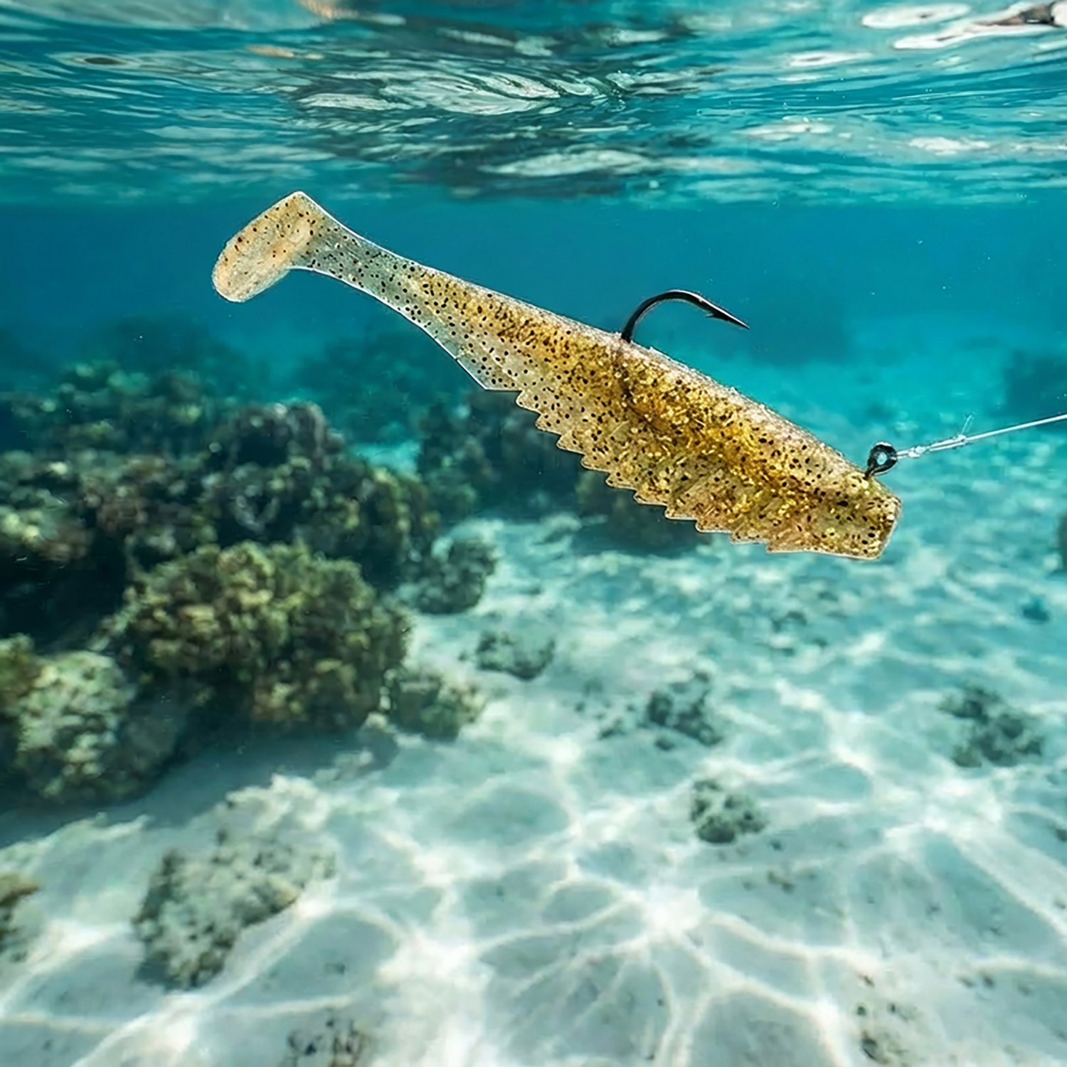 6th Sense Lures Saltwater Party Paddle 6-Pack - view number 2