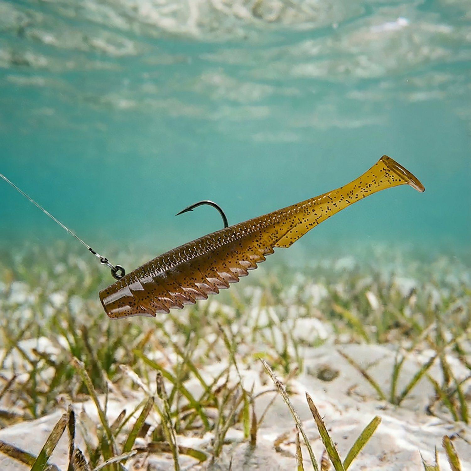 6th Sense Lures Saltwater Party Paddle 6-Pack - view number 2