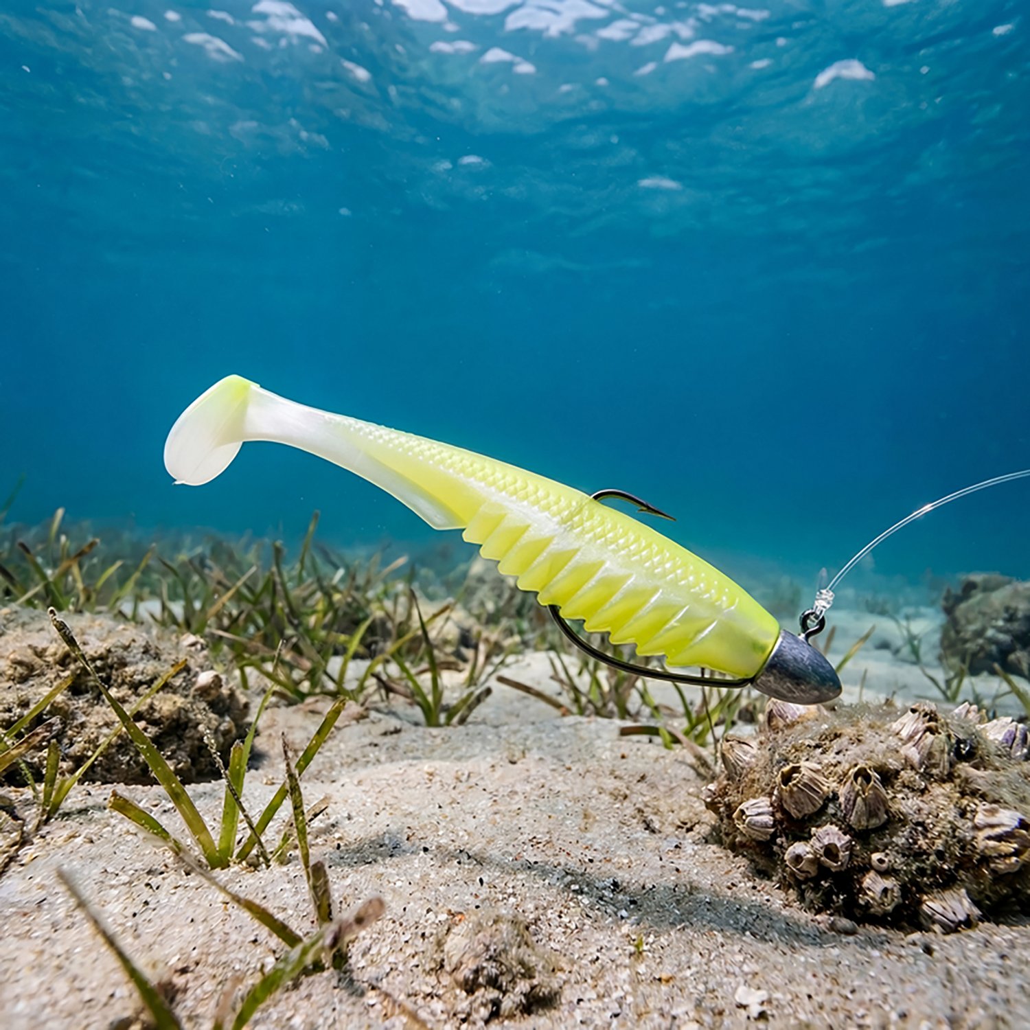 6th Sense Lures Saltwater Party Paddle 6-Pack - view number 2