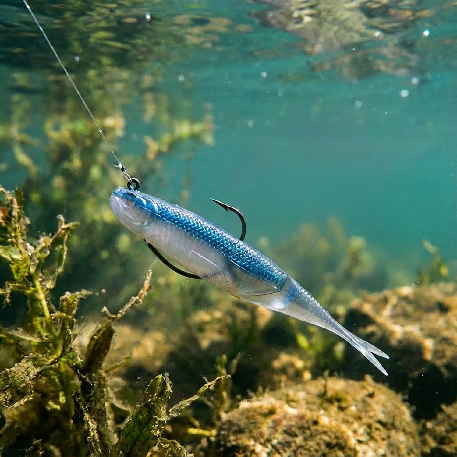 6th Sense Shindo Shad Wakasagi 6-Pack - view number 2