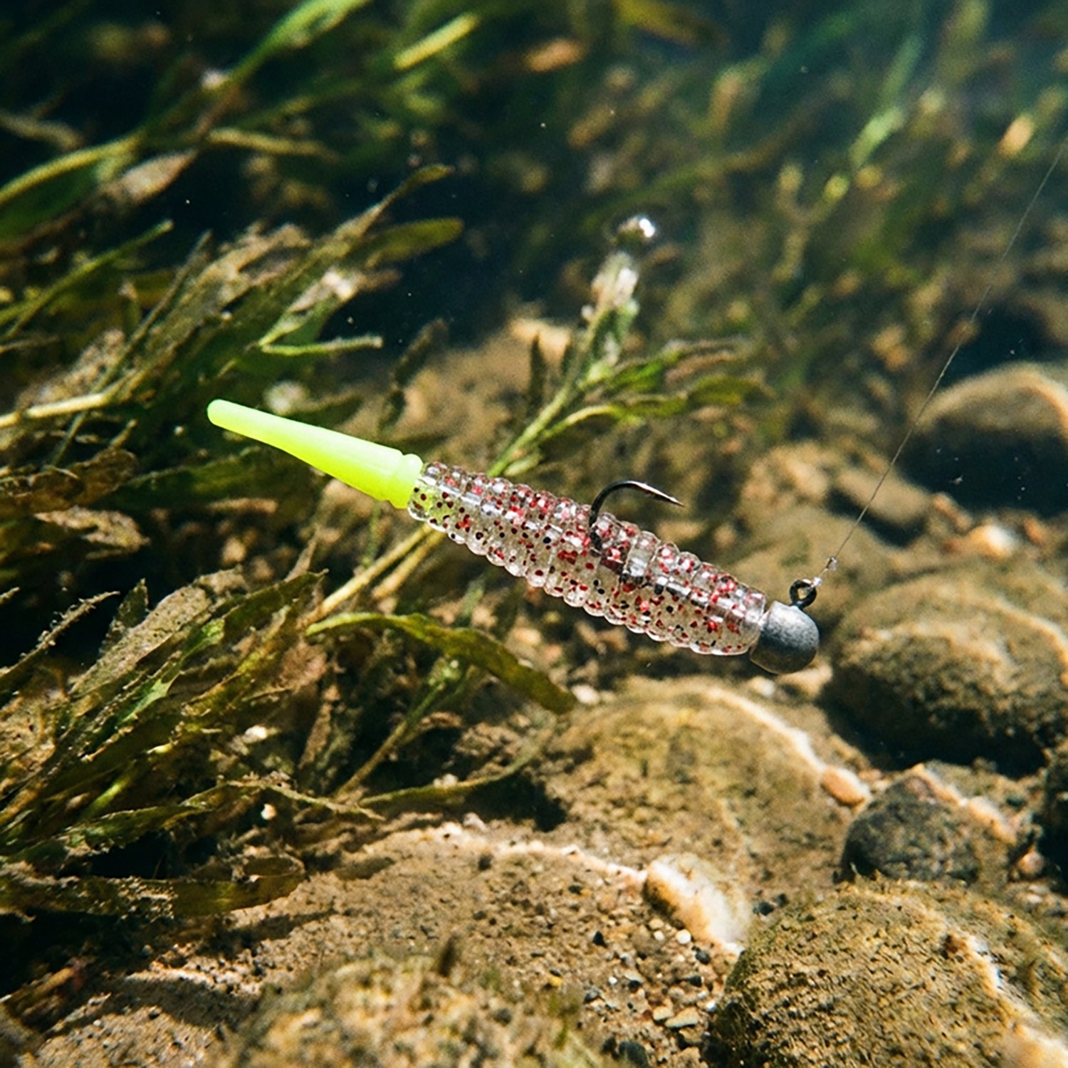 Trout Trick Thick Trick - view number 2