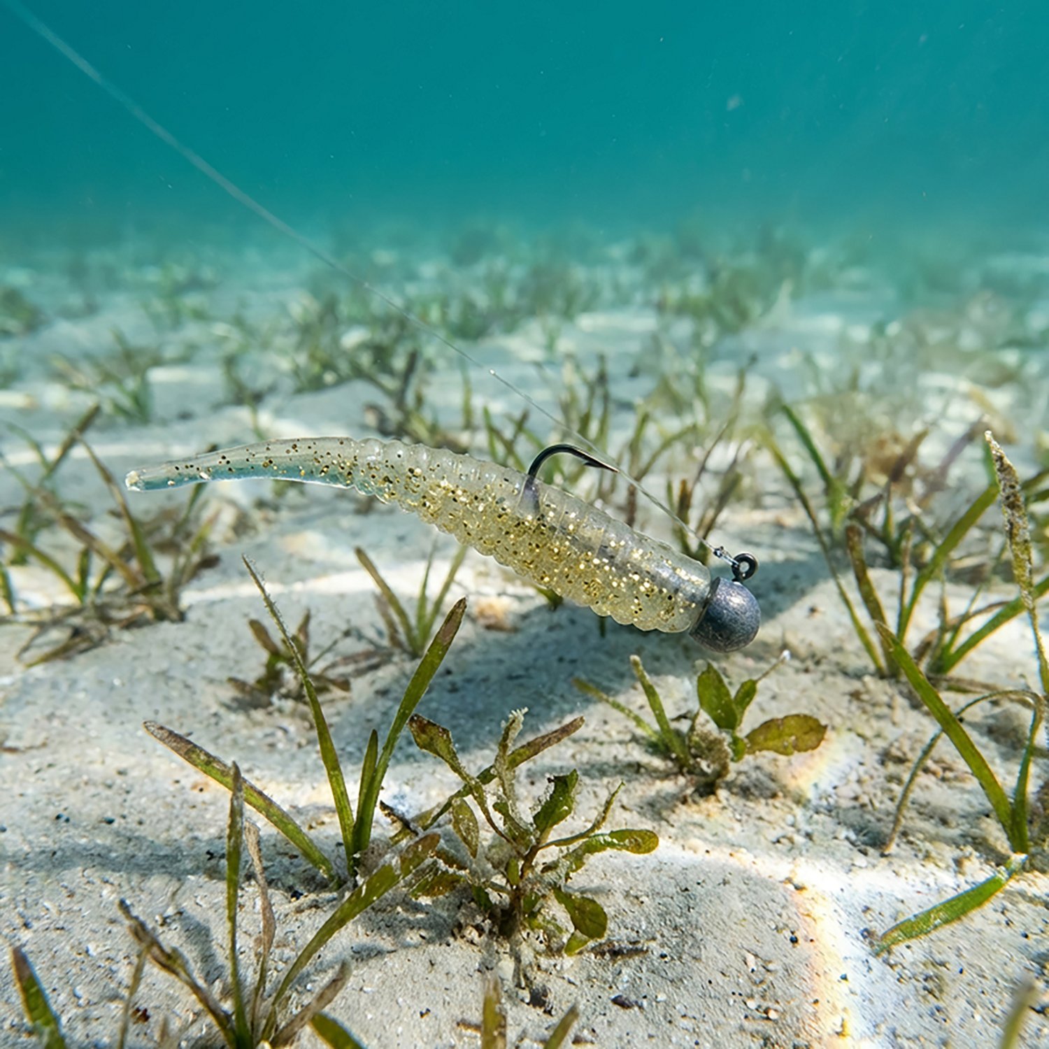 Trout Trick Thick Trick - view number 2
