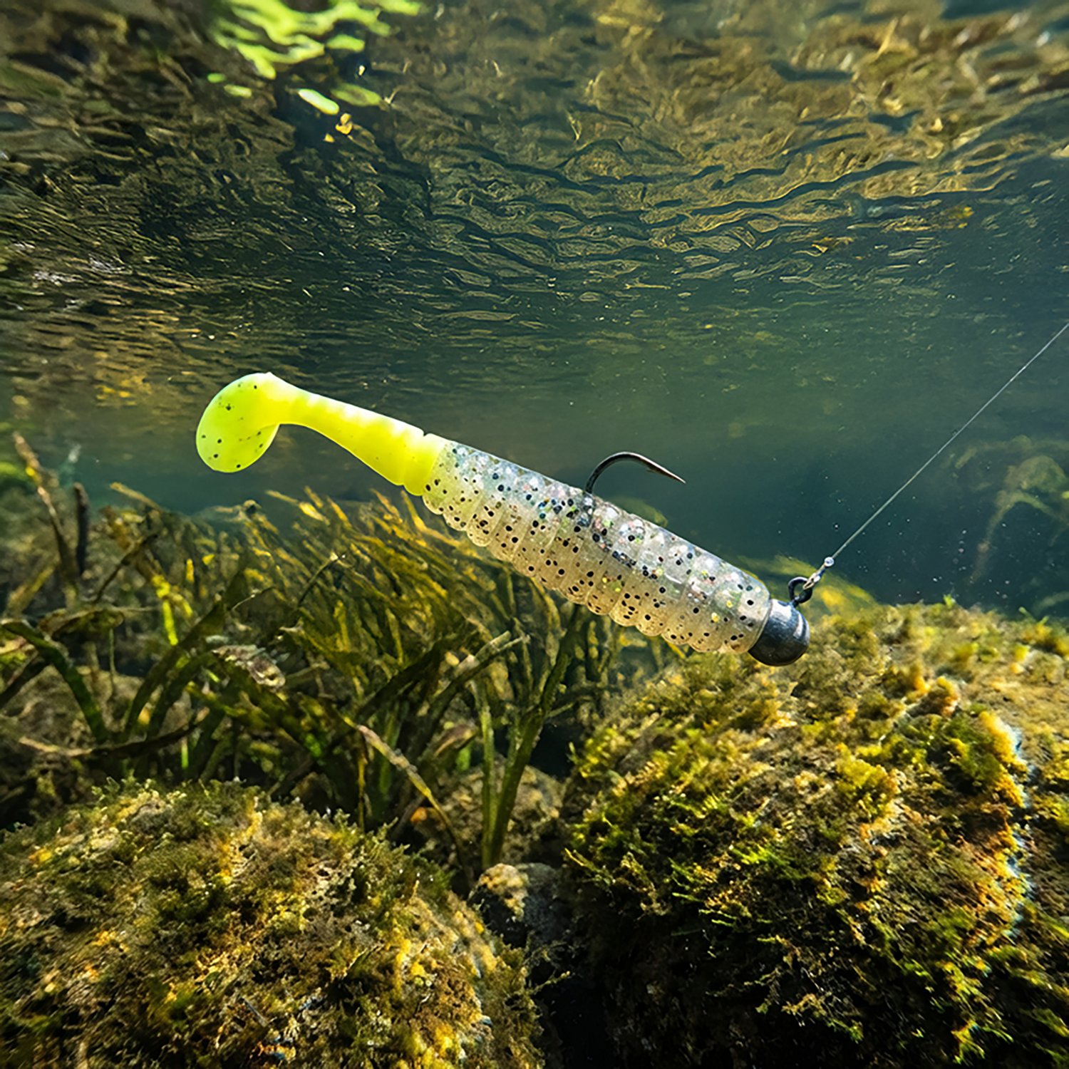 Trout Trick Thick Trick - view number 2