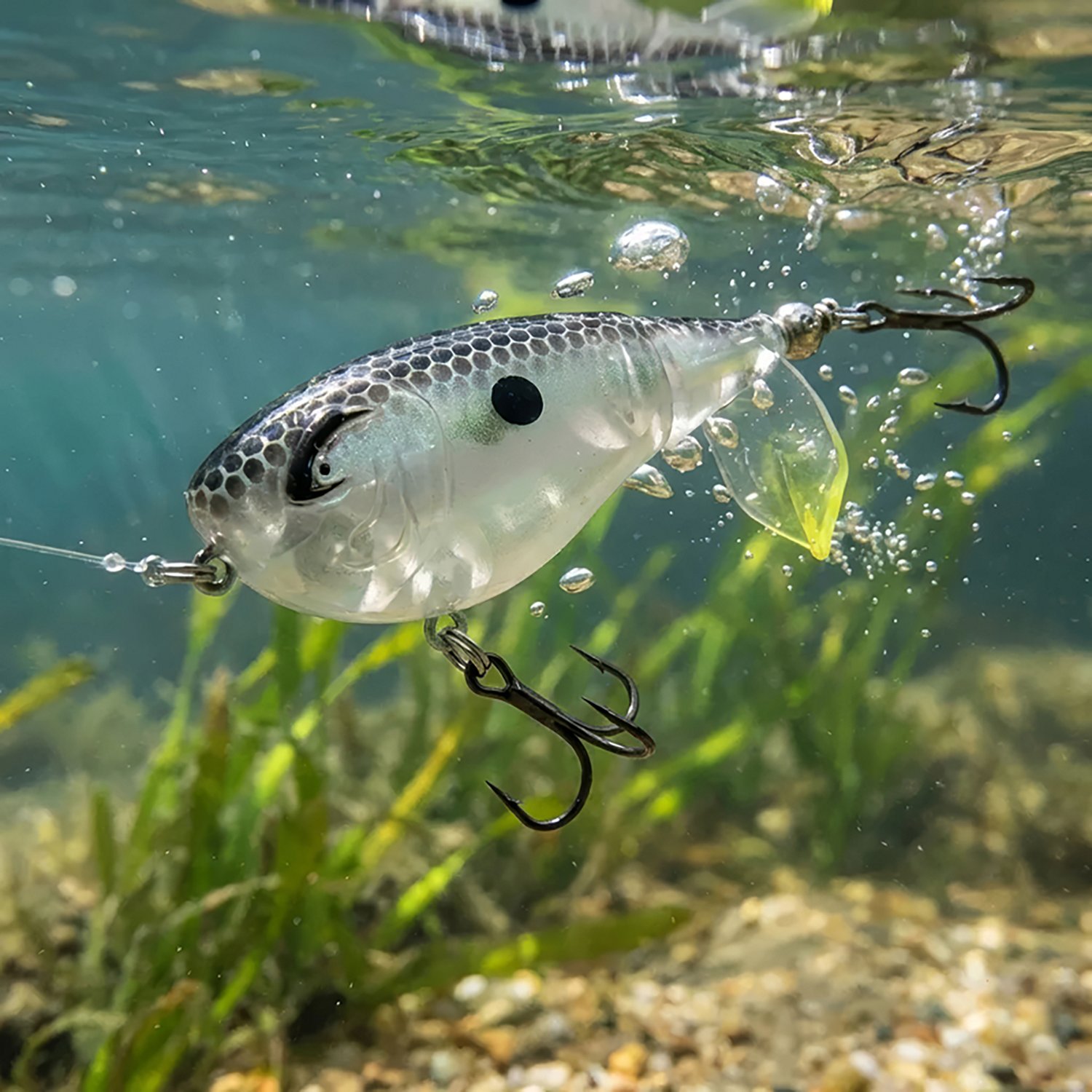Bill Lewis Lures Baby Bubbler 2 in Bait - view number 2