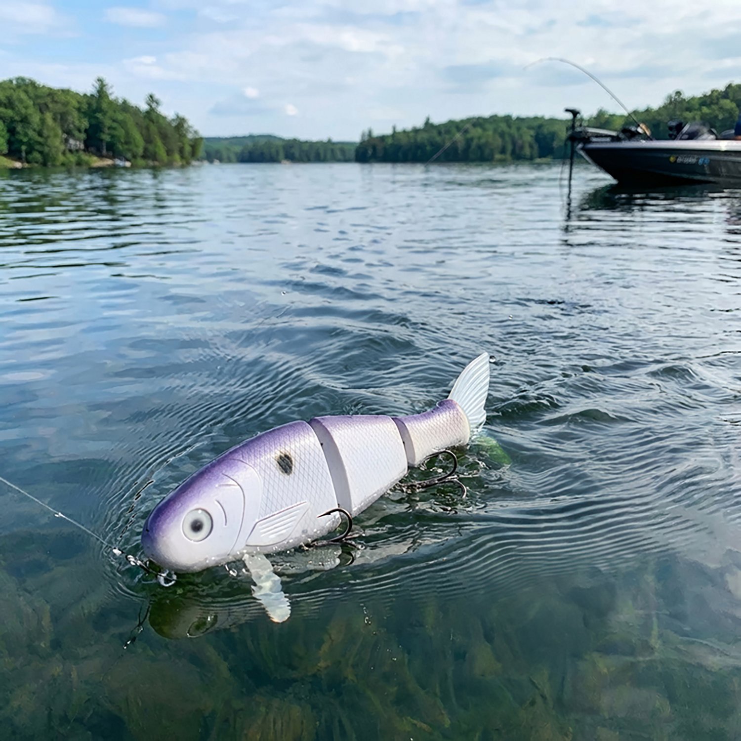 Mike Bucca Bull Wake 5 in Swimbait - view number 2