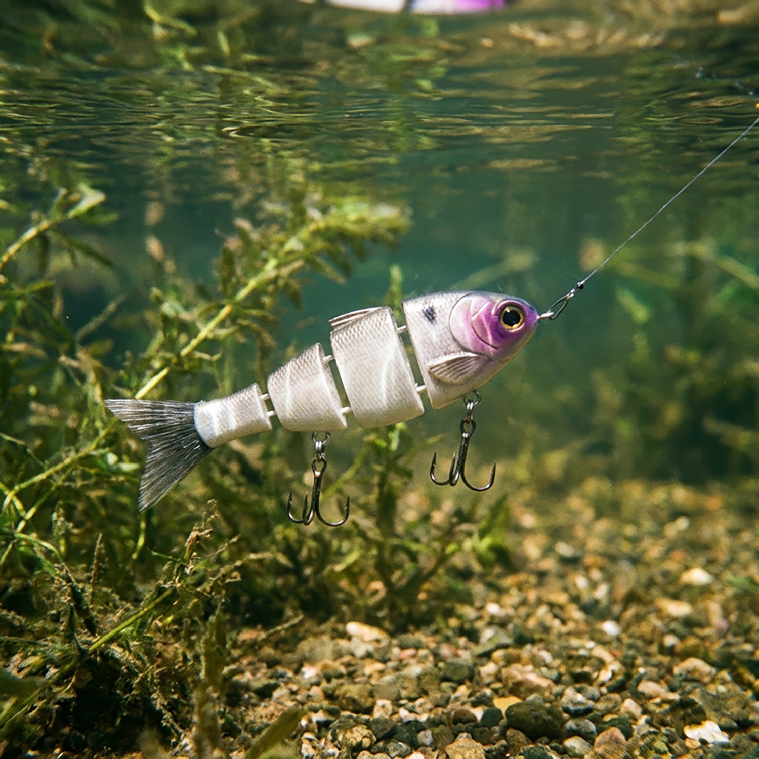 Mike Bucca Lil Baby 2-1/2 in. Bull Shad Swimbait - view number 7