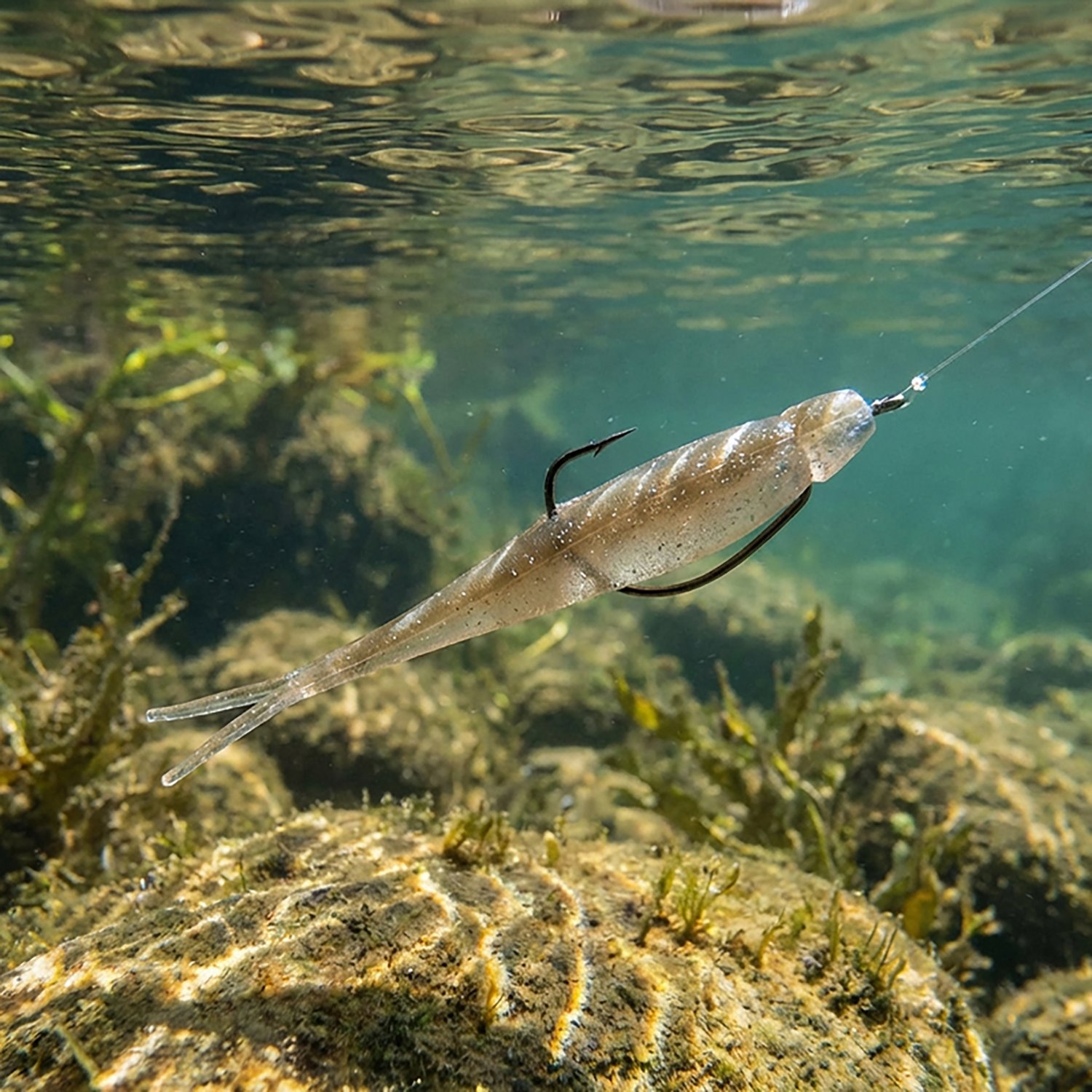 Strike King 3X Z-Too Jerk Bait 4-Pack - view number 6