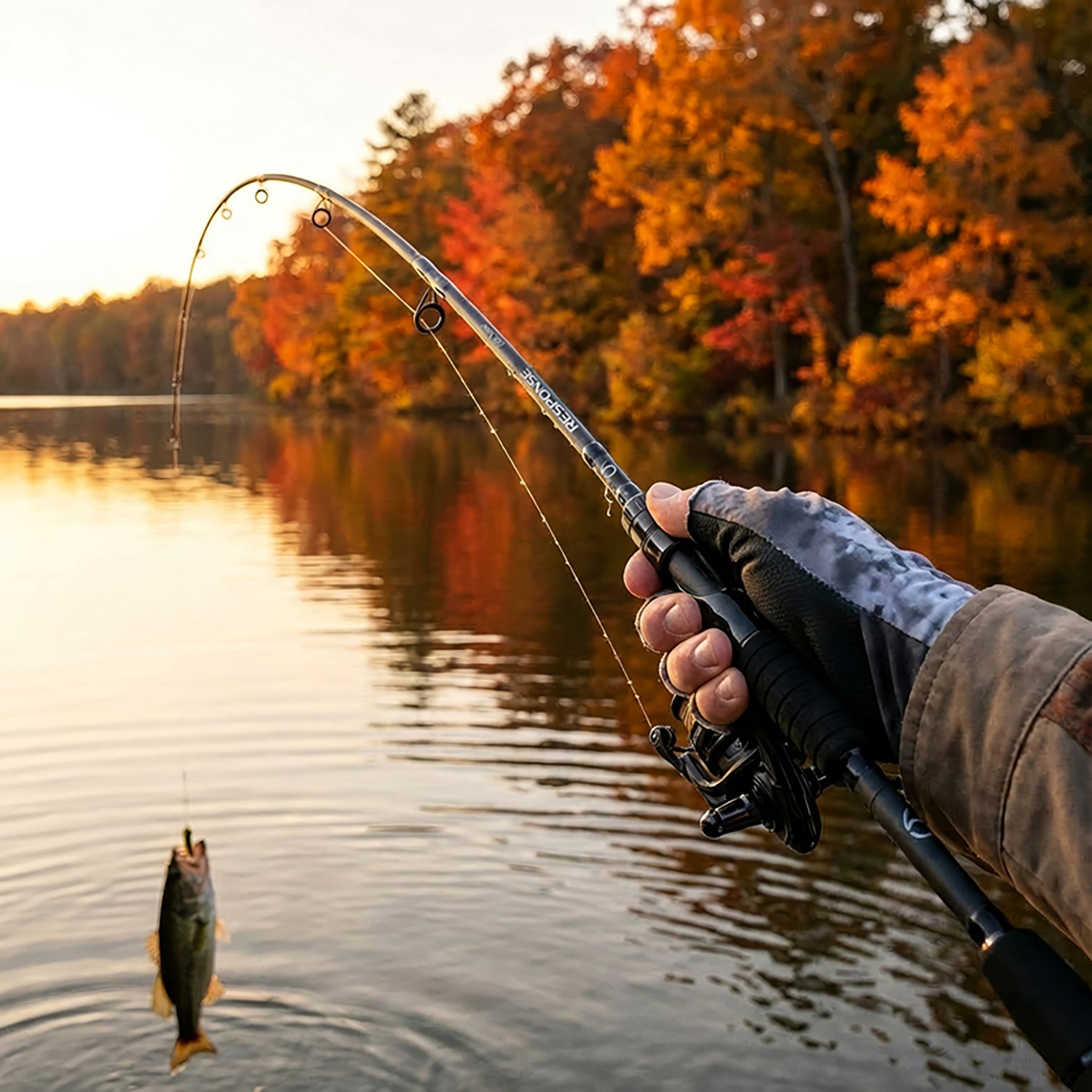 6th Sense Response 6 ft 10 in M Spinning Rod - view number 7