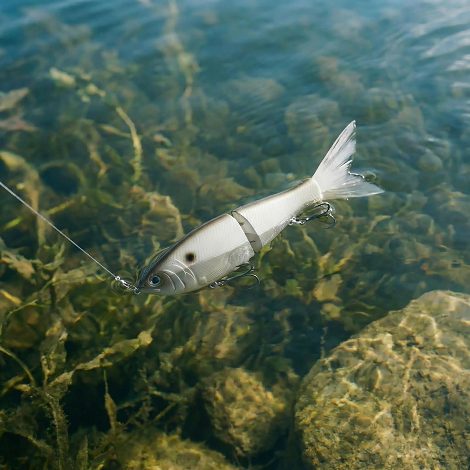 H20X Hard Glide Bait - view number 3