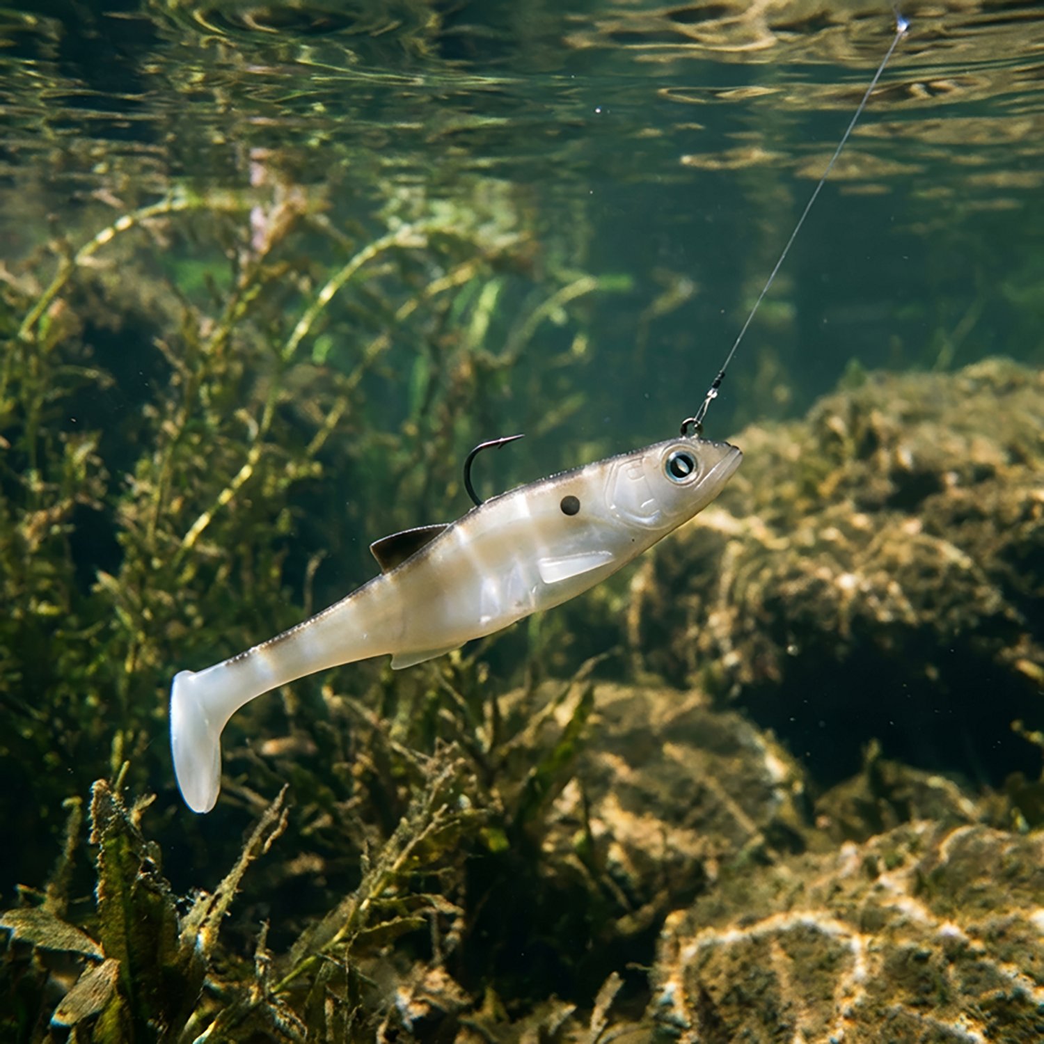 H20X Line Through 6 in Deep Swimbait - view number 2