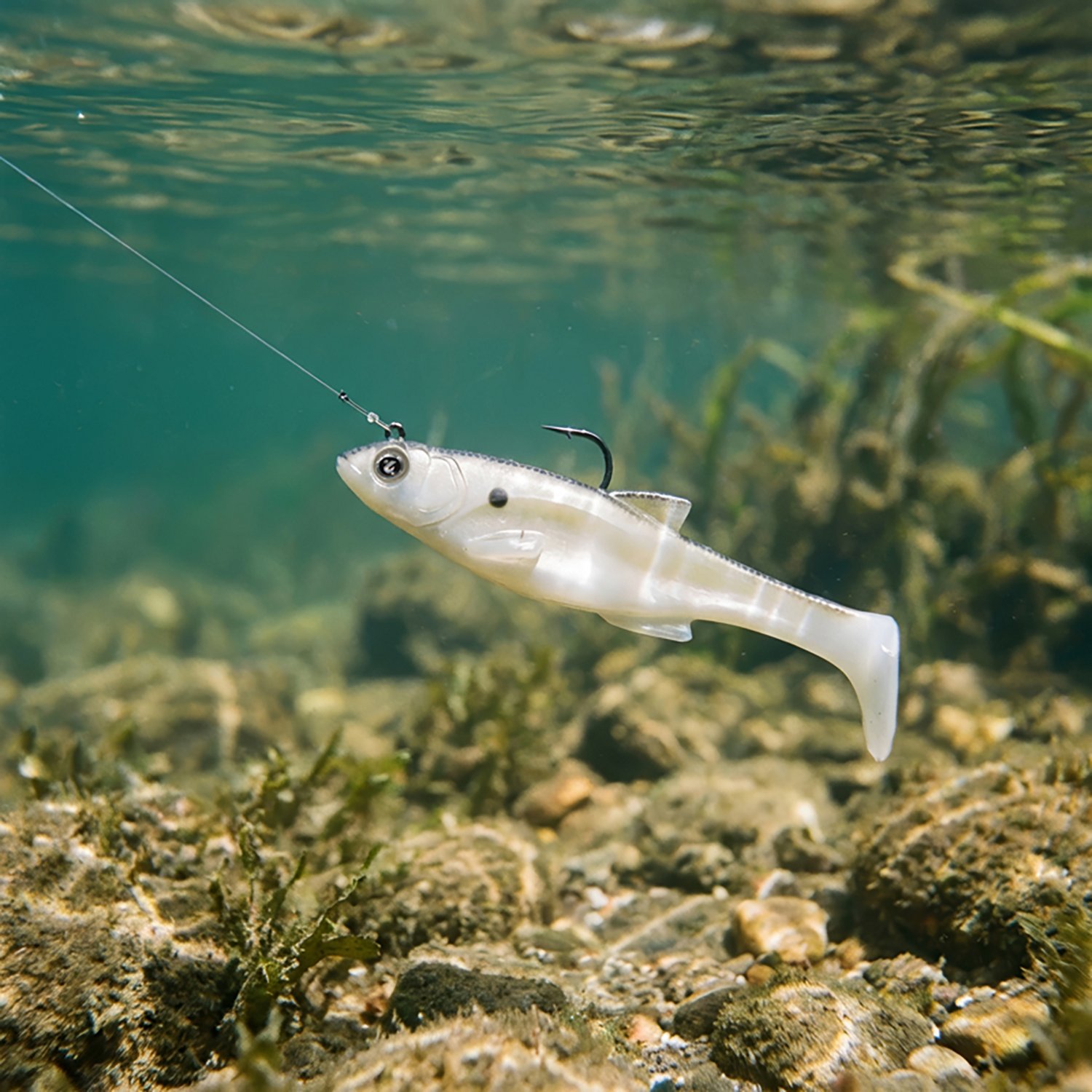 H20X Line Through 6 in Shallow Swimbait - view number 3