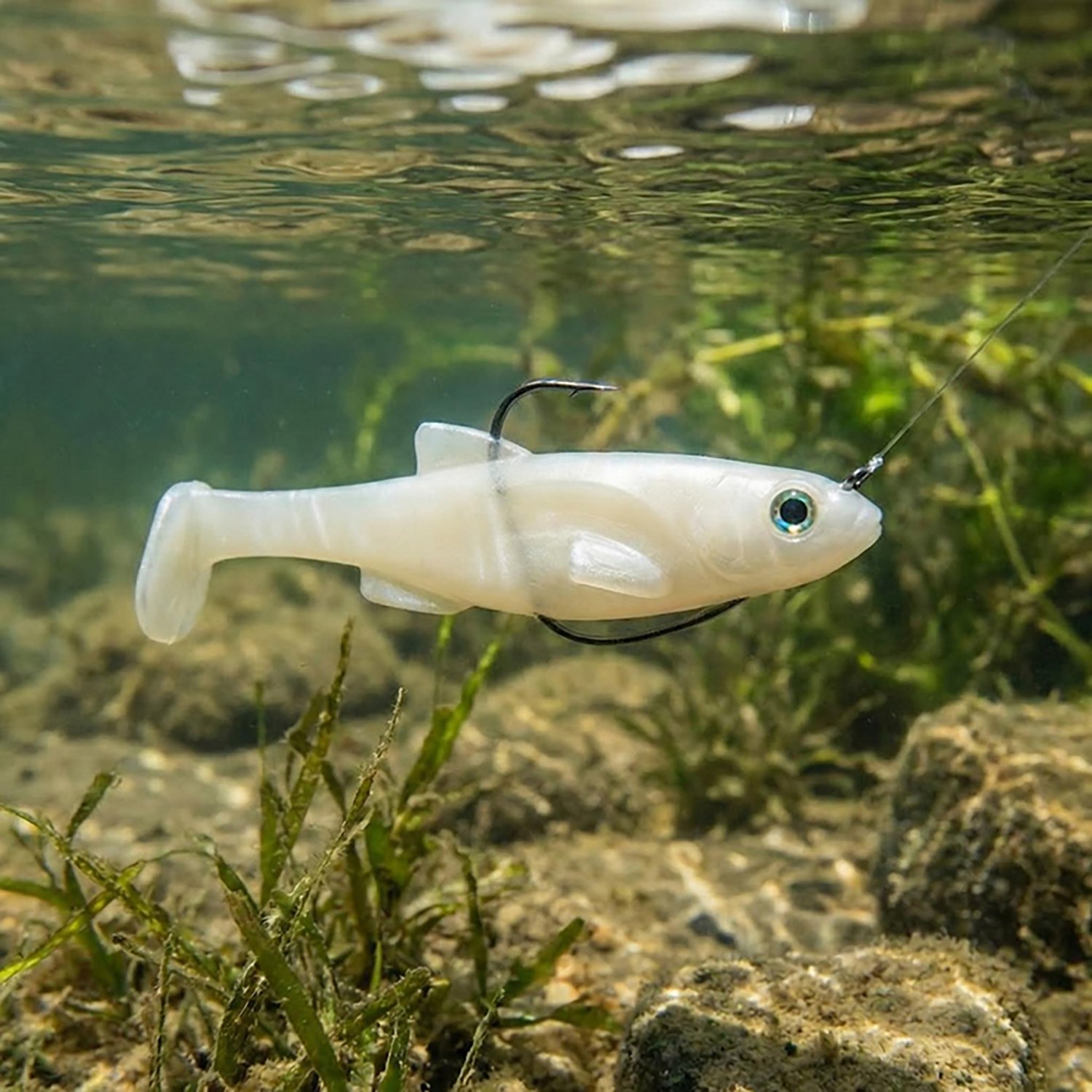 H20X Line Through 6 in Shallow Swimbait - view number 3