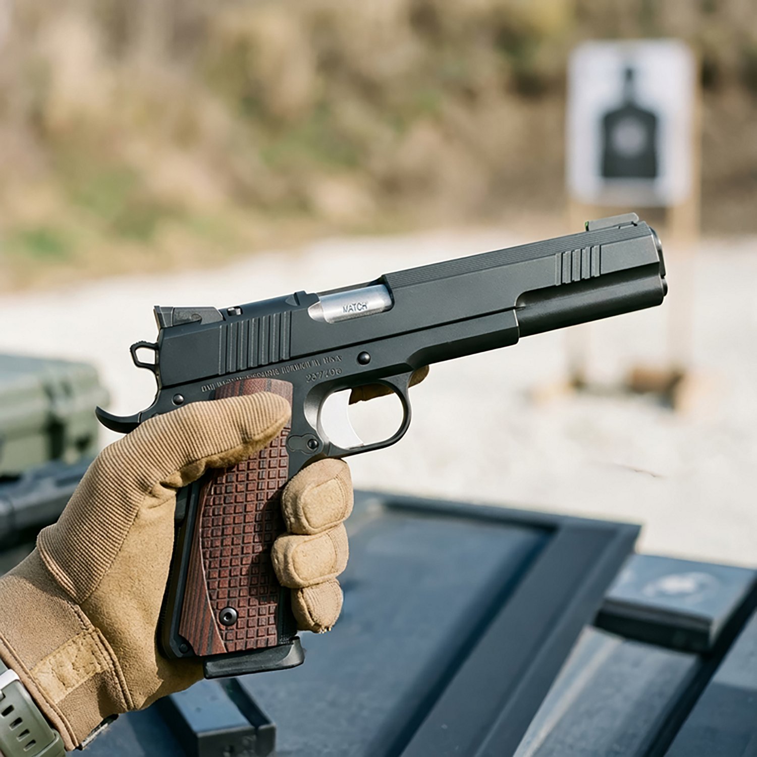 CZ Dan Wesson Bruin 10mm Pistol - view number 4