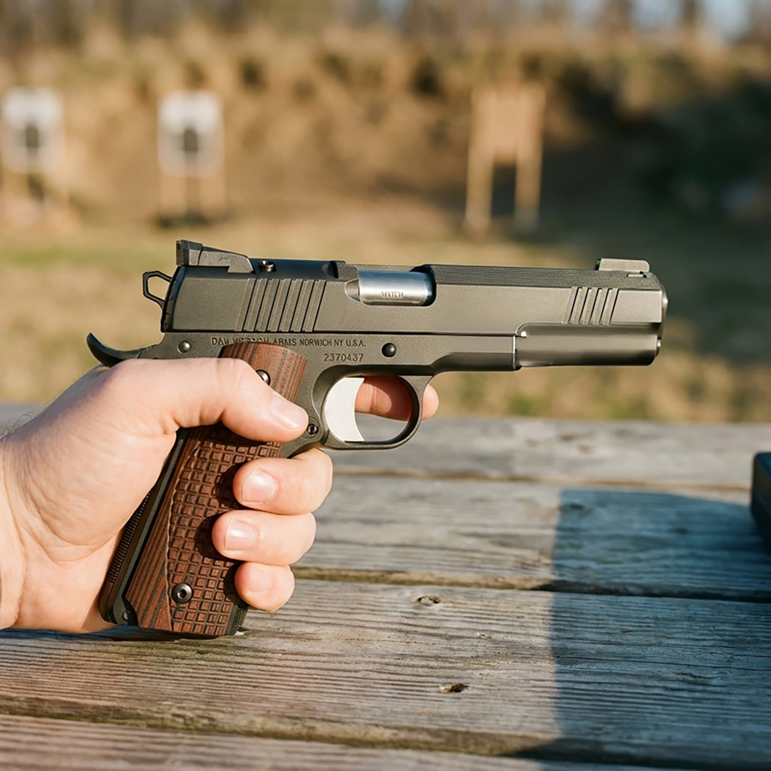 CZ Dan Wesson Bruin 10mm Pistol - view number 5