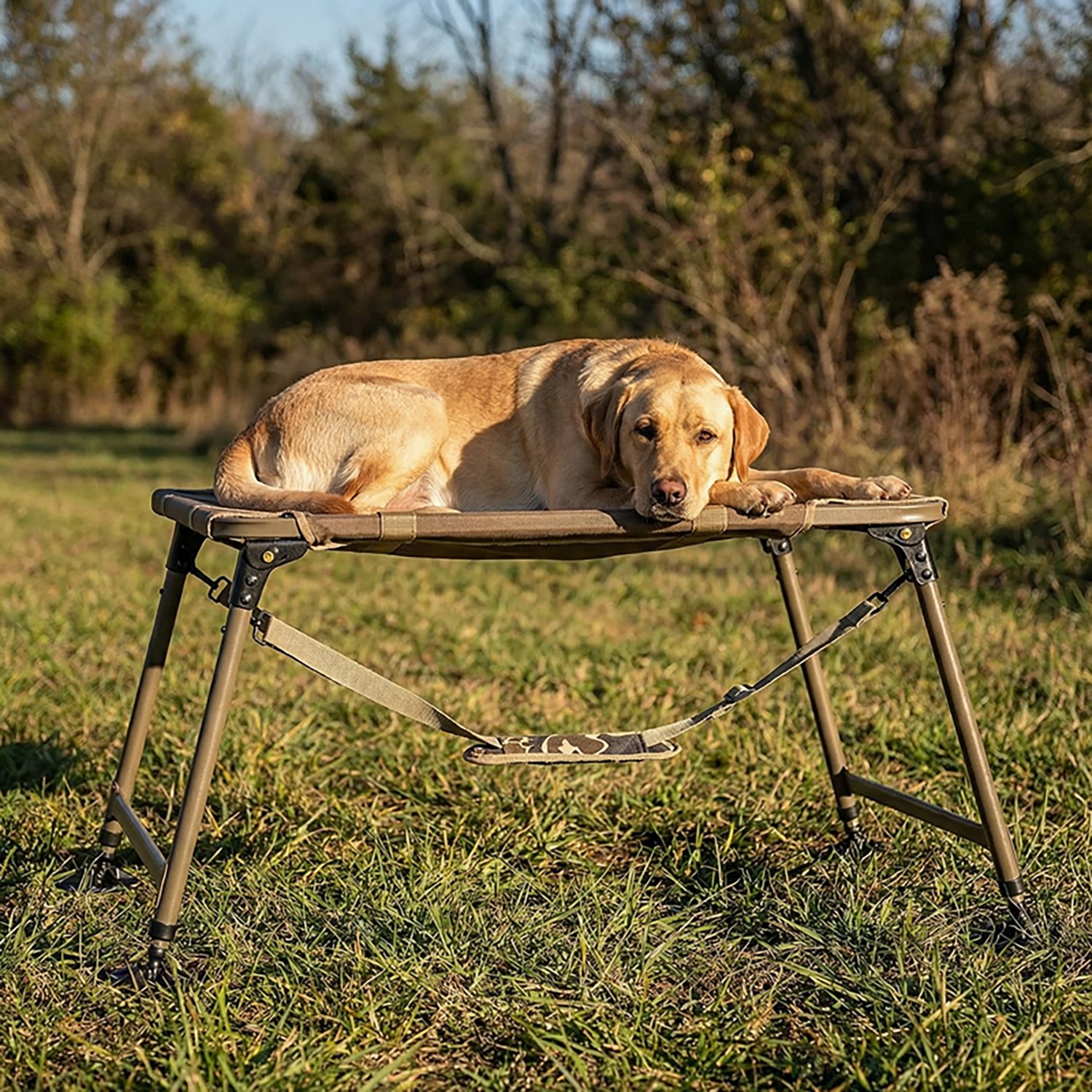 Rig'Em Right Outdoors Dog Stand - view number 8