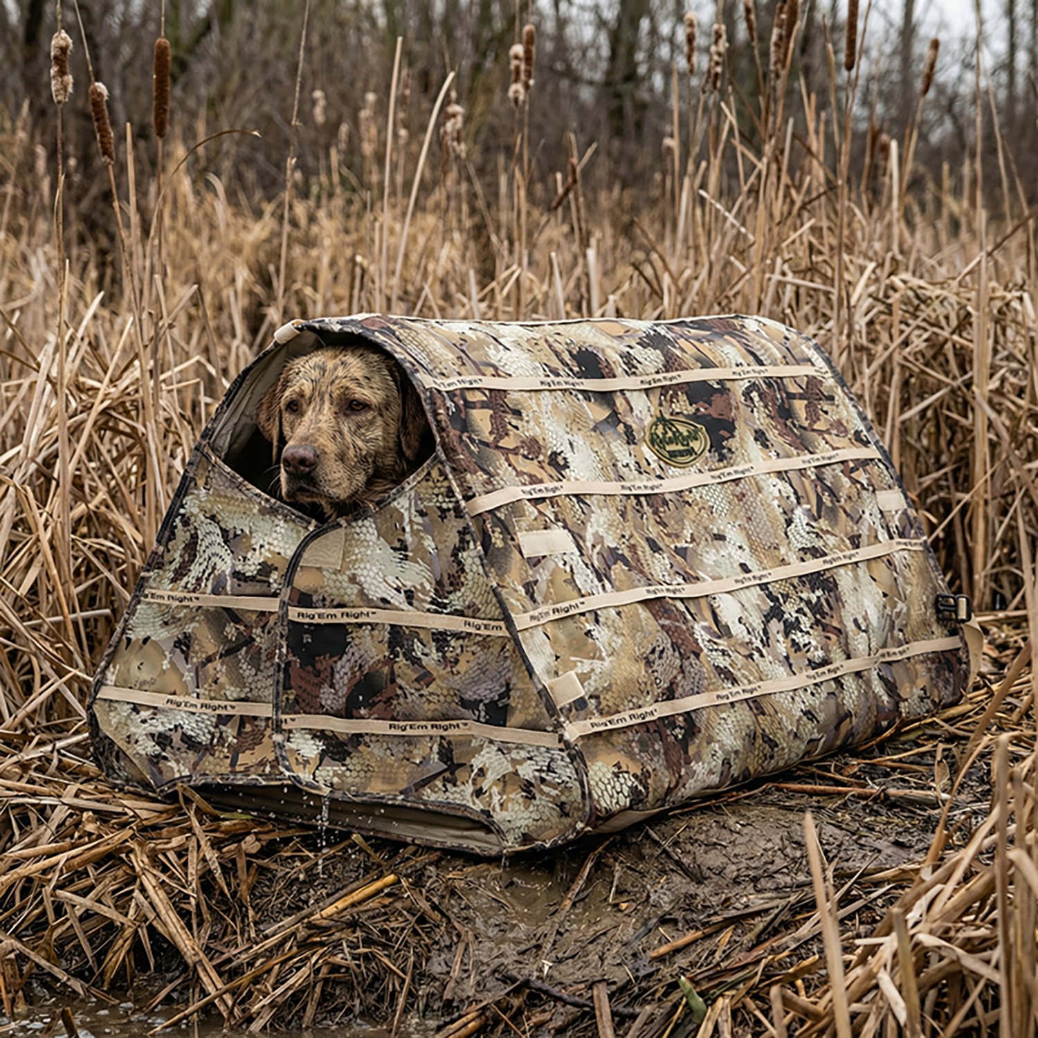 Rig'Em Right Outdoors Field Bully Dog Blind - view number 5