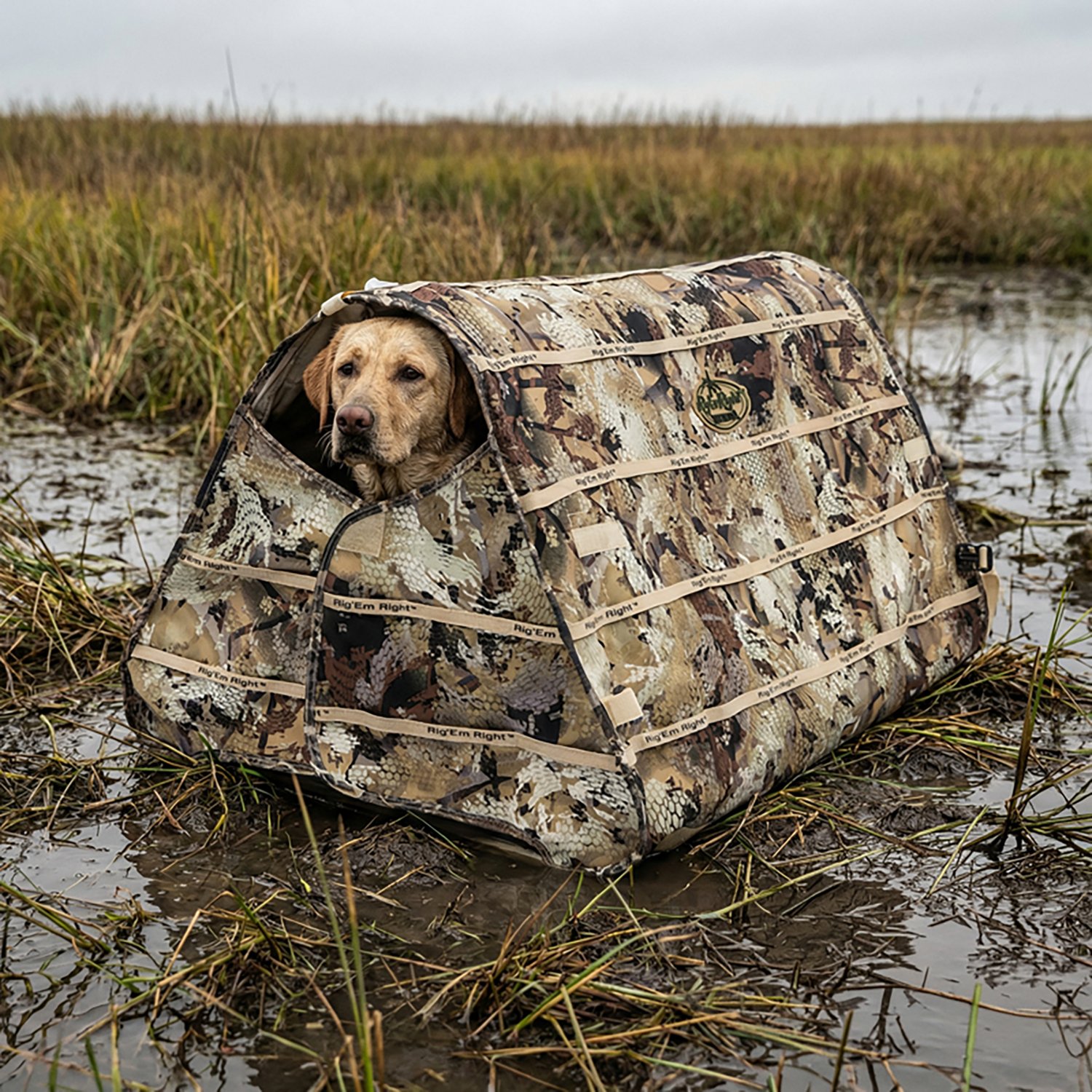 Rig'Em Right Outdoors Field Bully Dog Blind - view number 6