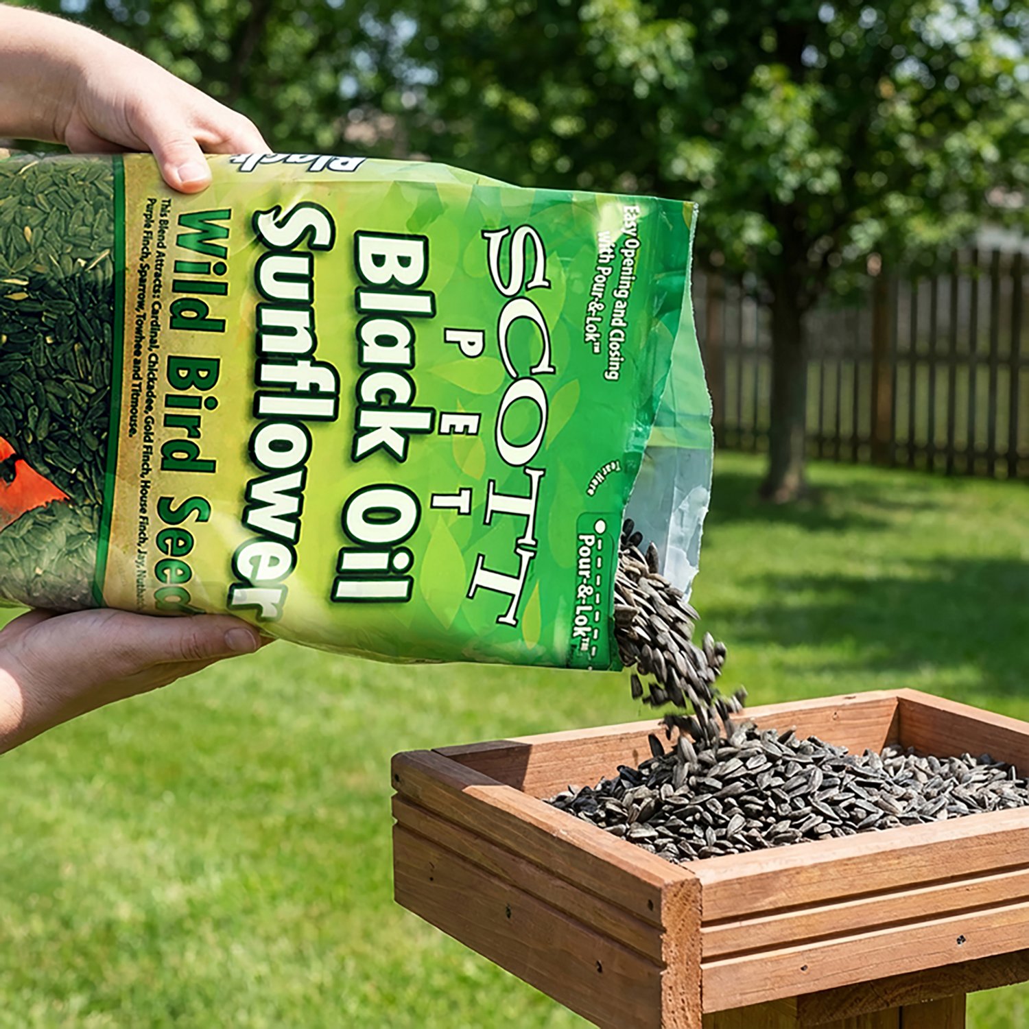 Scott Pet 6 lb. Black Oil Sunflower Wild Bird Seed - view number 2