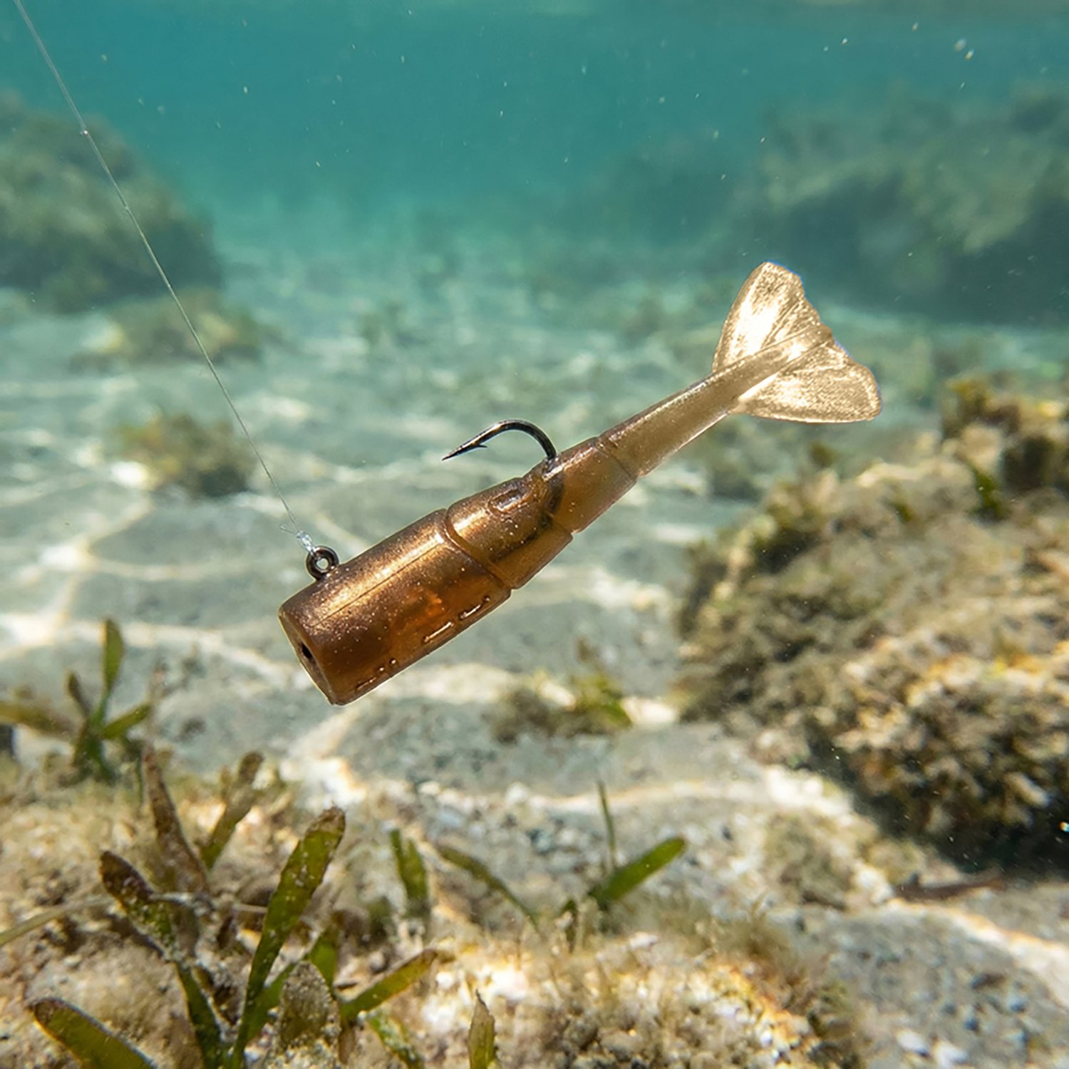 No Live Bait Needed 3 in Shrimp Tail 6-Pack - view number 3