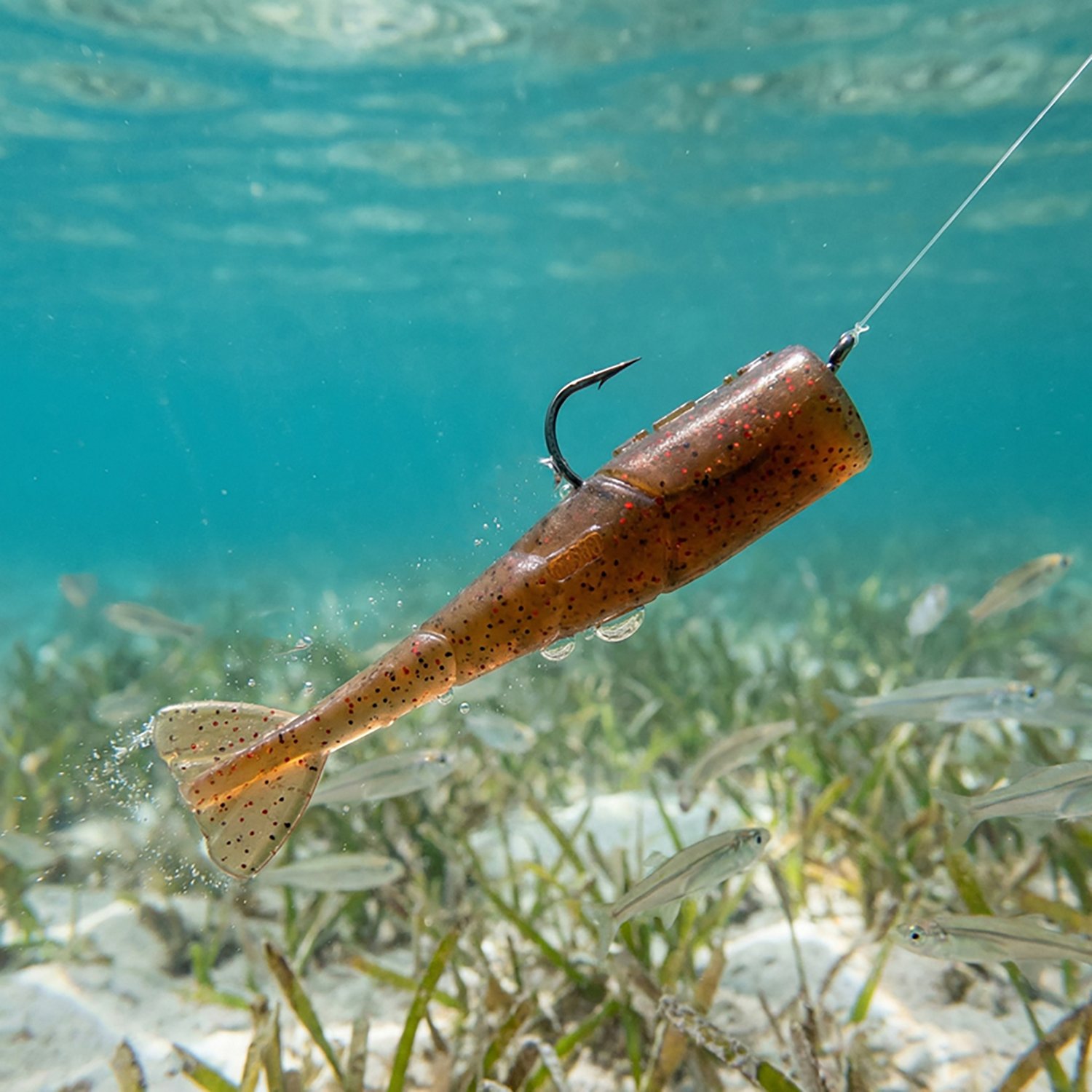 No Live Bait Needed 3 in Shrimp Tail 6-Pack - view number 3