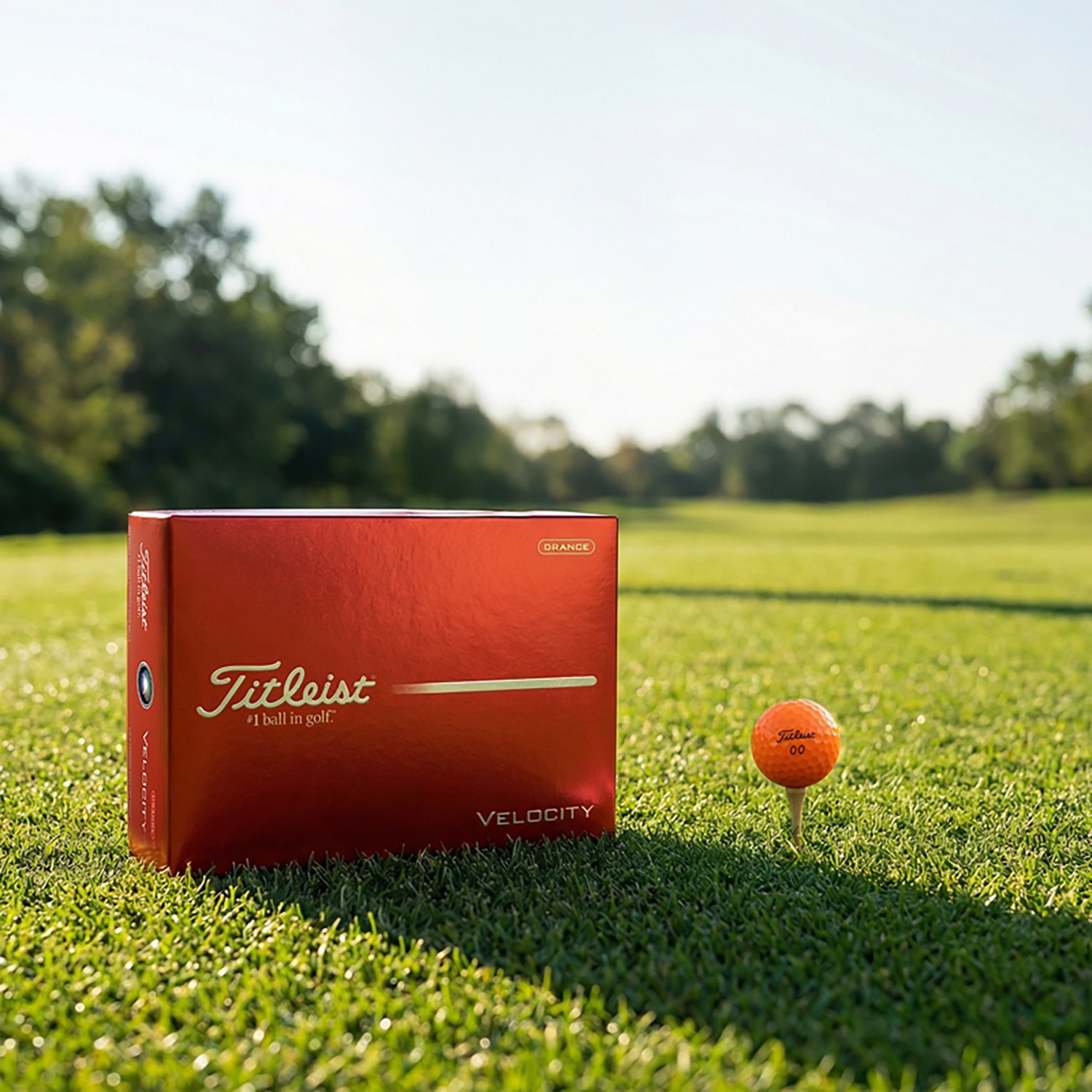 Titleist 2026 Velocity Golf Balls 12-Pack