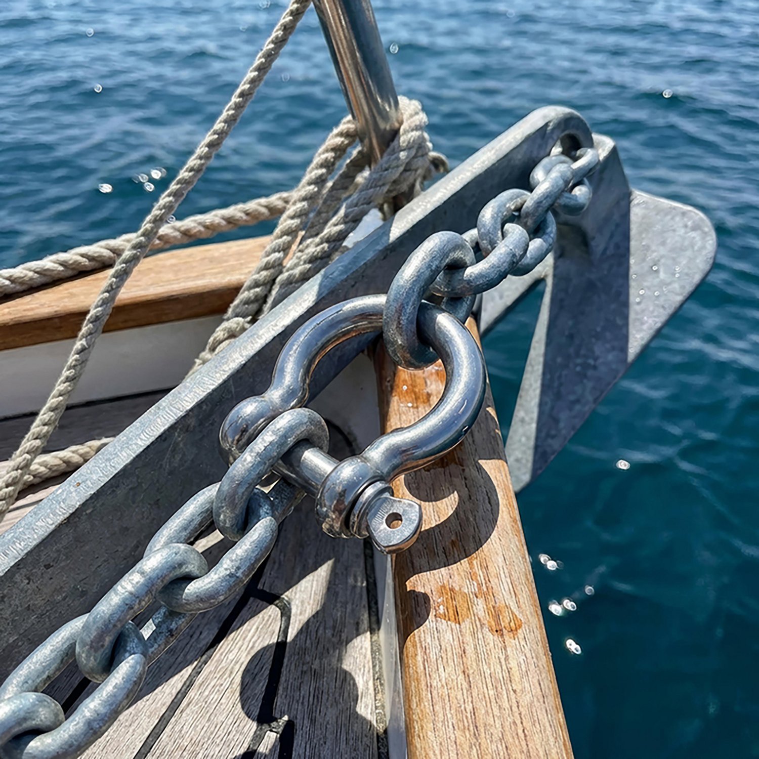 Marine Raider 5/16" Stainless-Steel Shackle - view number 2