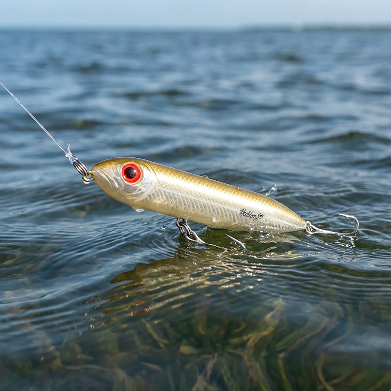 Heddon® Saltwater Super Spook Jr.™ 3-1/2" Topwater Lure                                                                       - view number 2