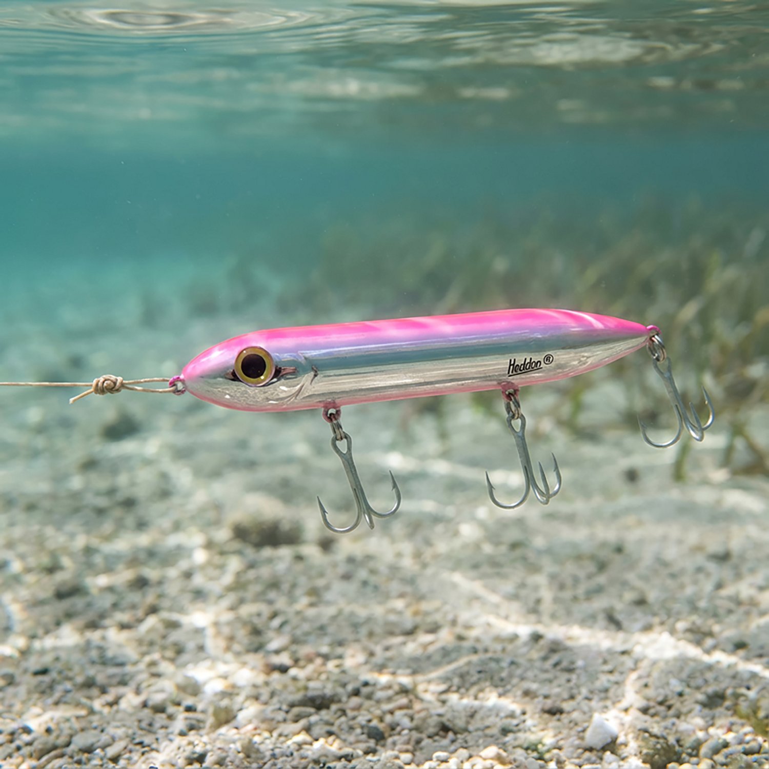 Heddon Super Spook 5" Topwater Bait - view number 2