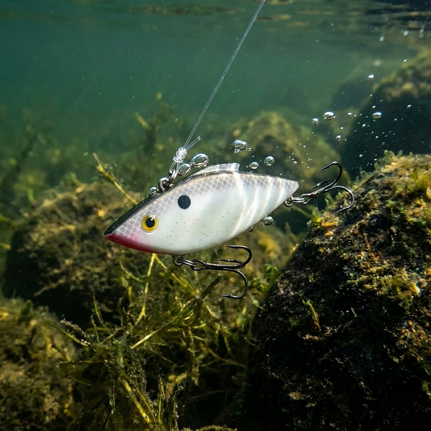 Bill Lewis  Mini-Trap® 1/4 oz. Lipless Crankbait                                                                                - view number 2