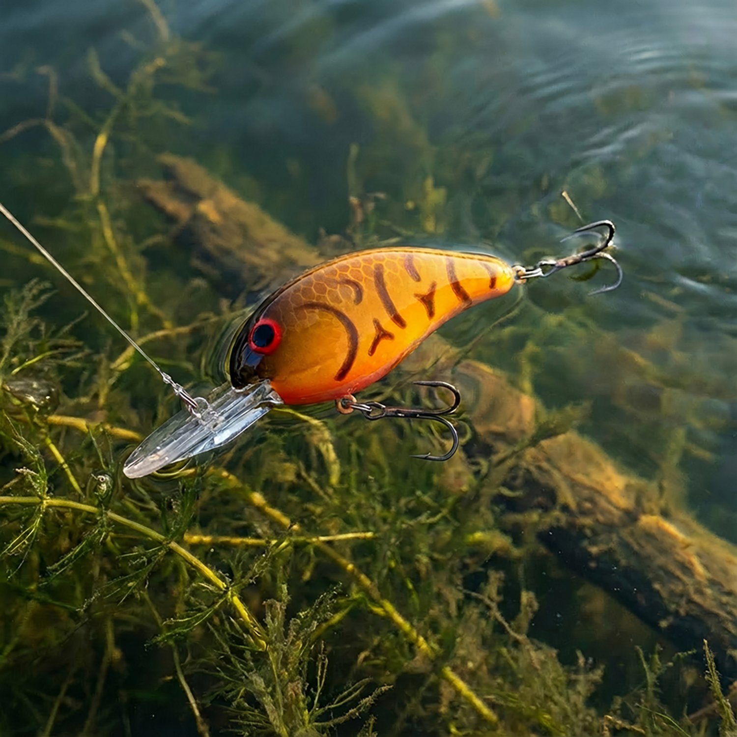 Bandit® Lures 200 Series 2" Crankbait                                                                                           - view number 2