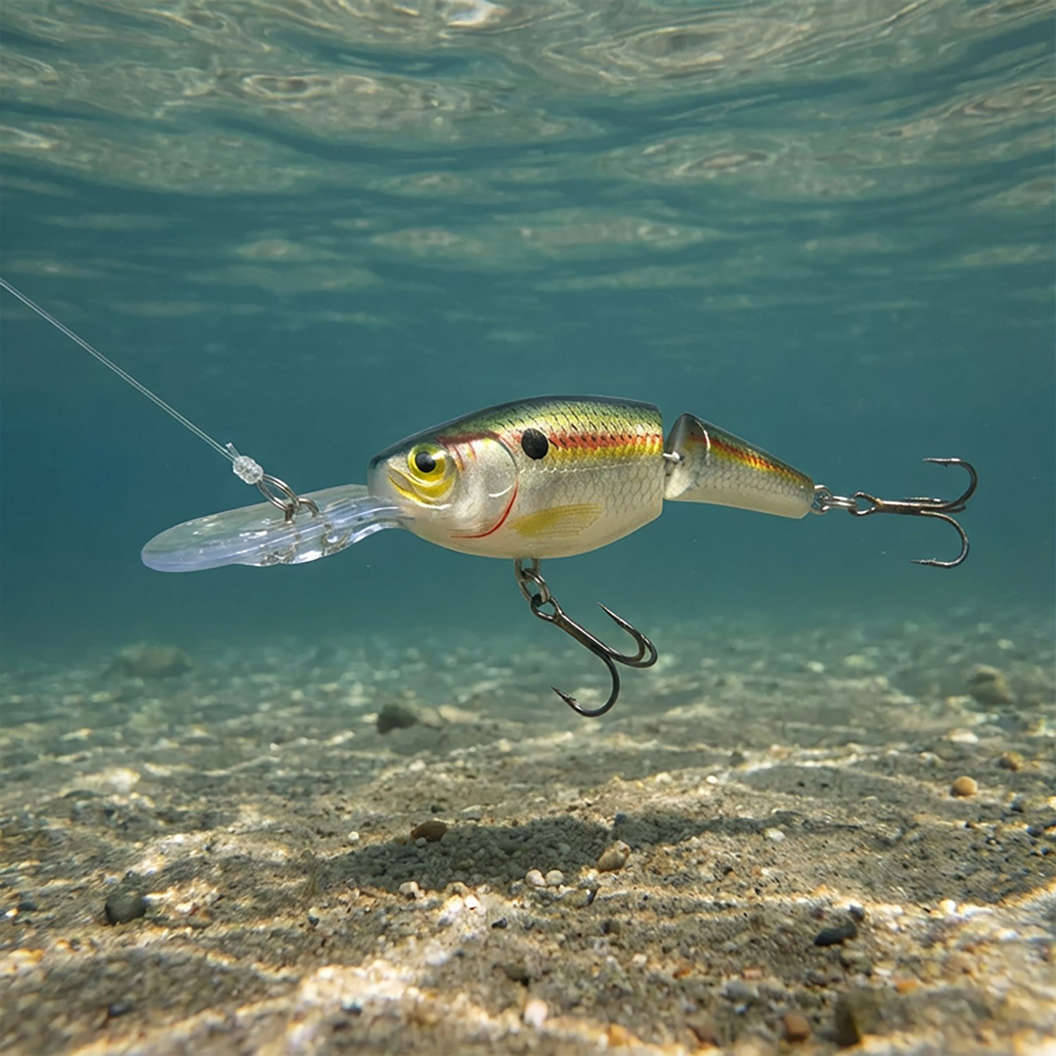 Rapala® Jointed Shad Rap® 2" Lure
