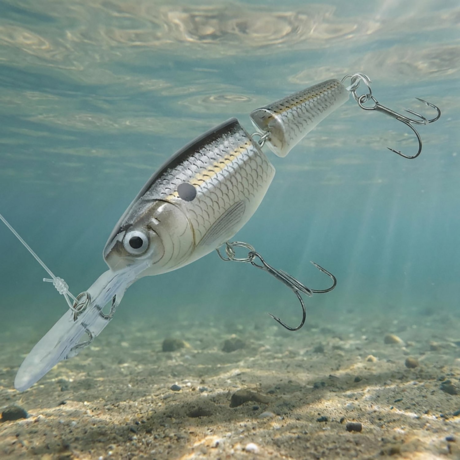 Rapala® Jointed Shad Rap® 2" Lure - view number 2