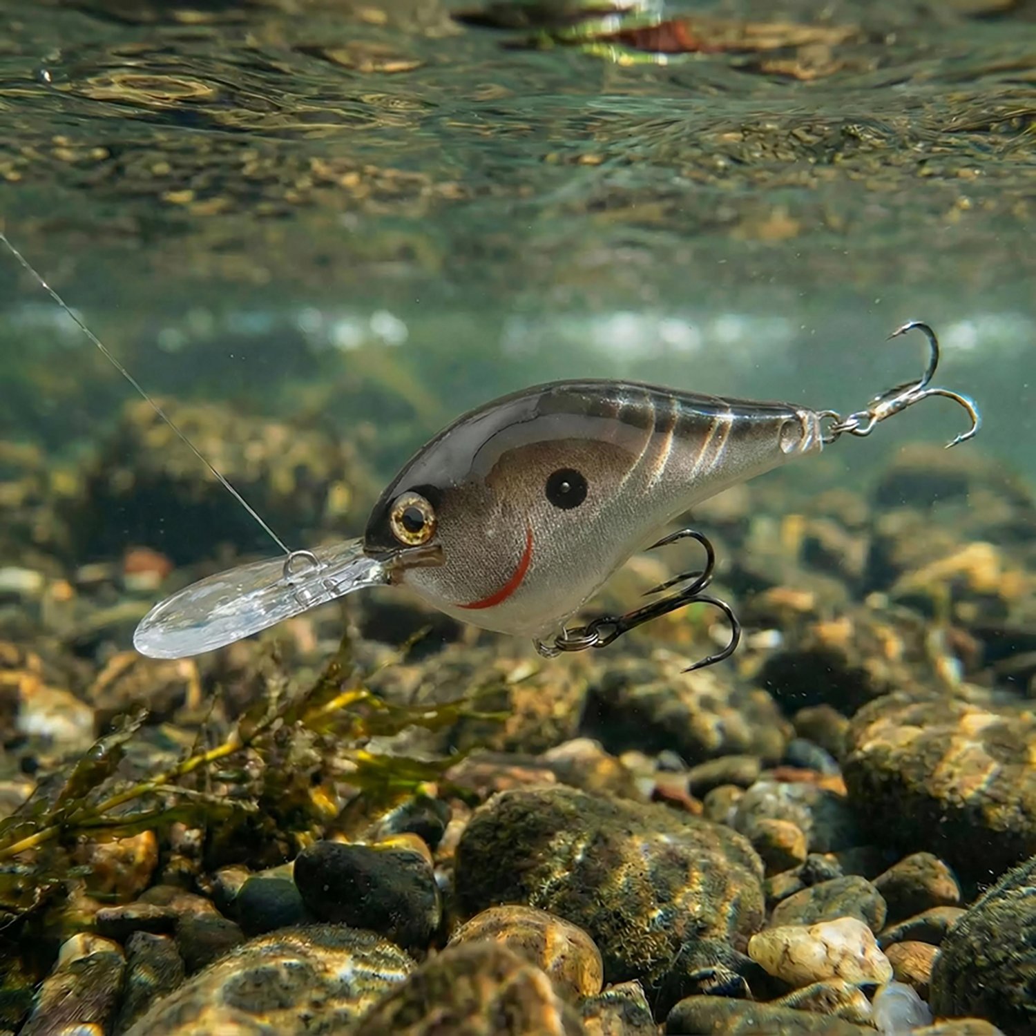 Rapala® DT10 Lure                                                                                                               - view number 2