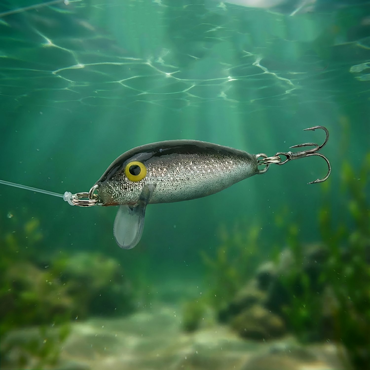 Rapala Countdown 1" Fishing Lure | Academy