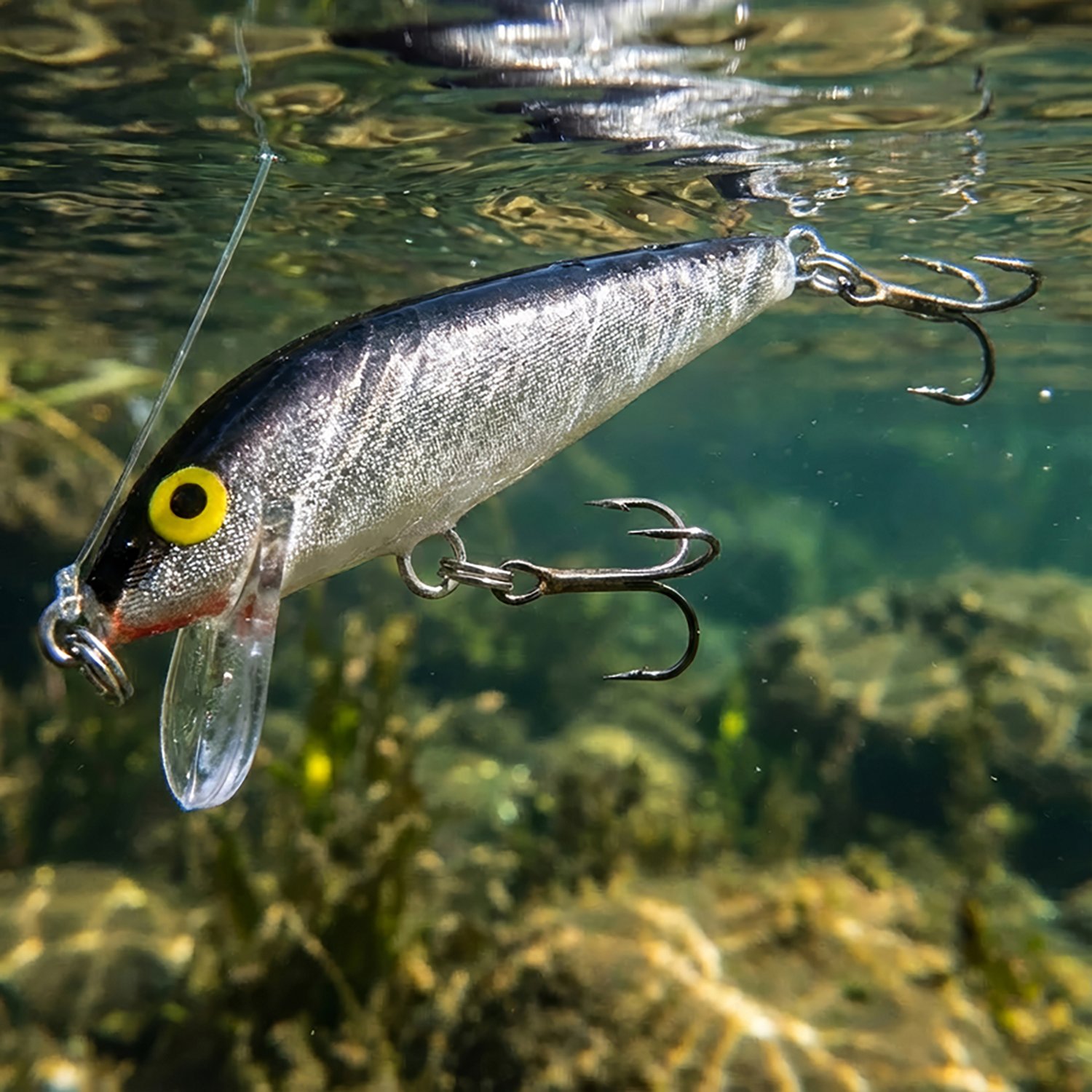 Rapala® CountDown® 2" Lure                                                                                                     - view number 2