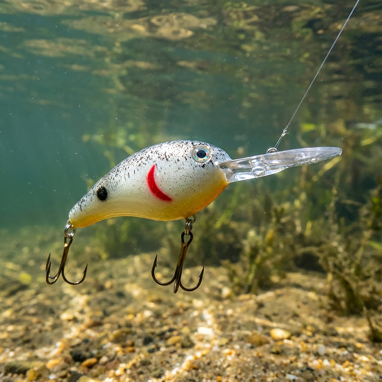 Strike King® Pro-Model® Series 5 Crankbait                                                                                     - view number 2
