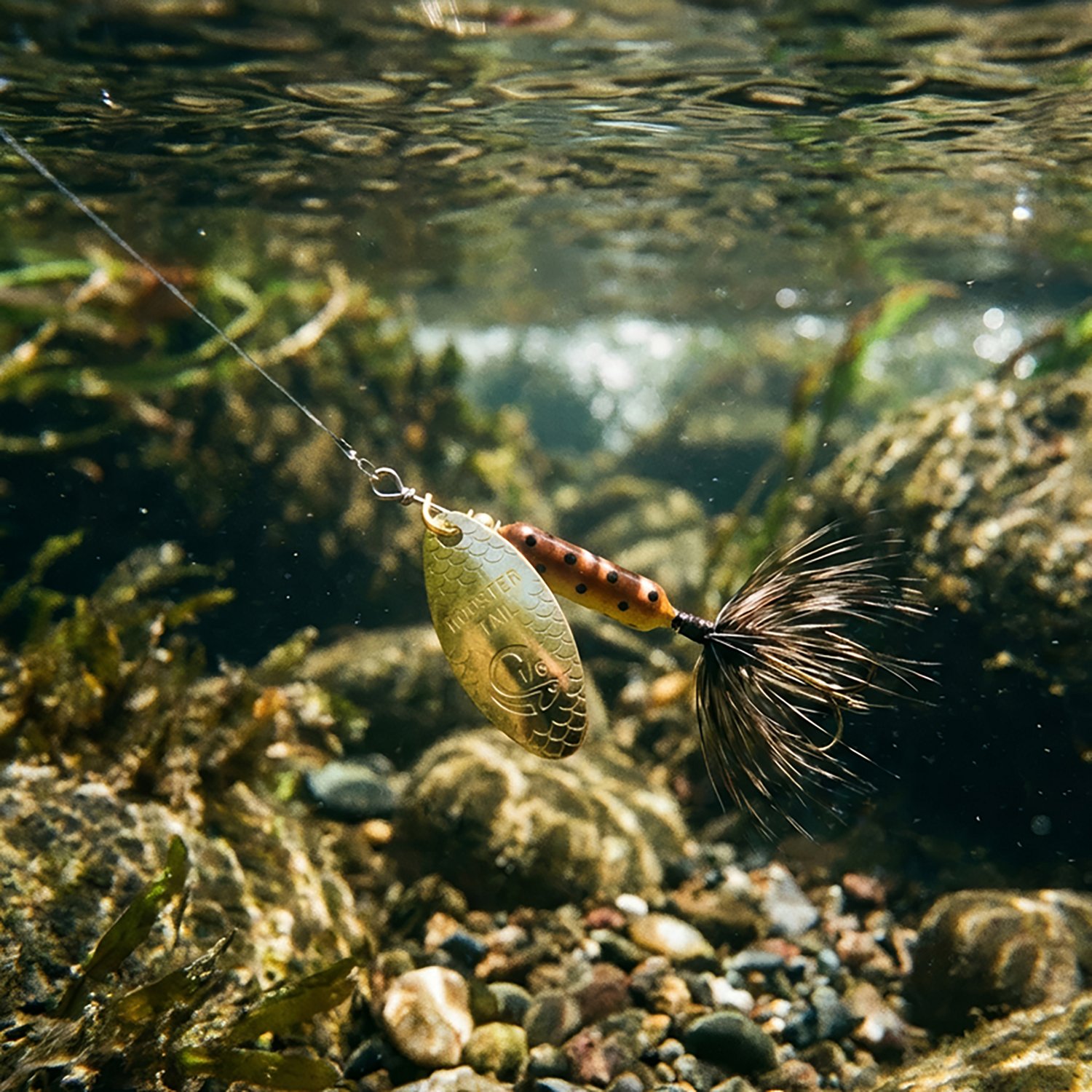 Yakima Rooster Tail 1/16 oz. In-Line Spinner - view number 2